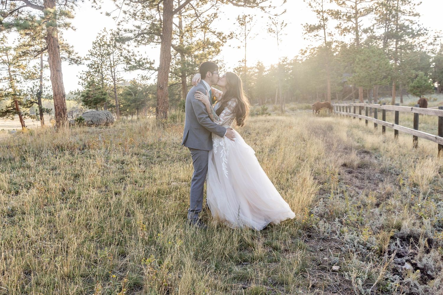 Capturing authentic, heartfelt moments in Colorado’s stunning landscapes. Serving Denver, Boulder, Estes Park, and beyond. Let's tell your