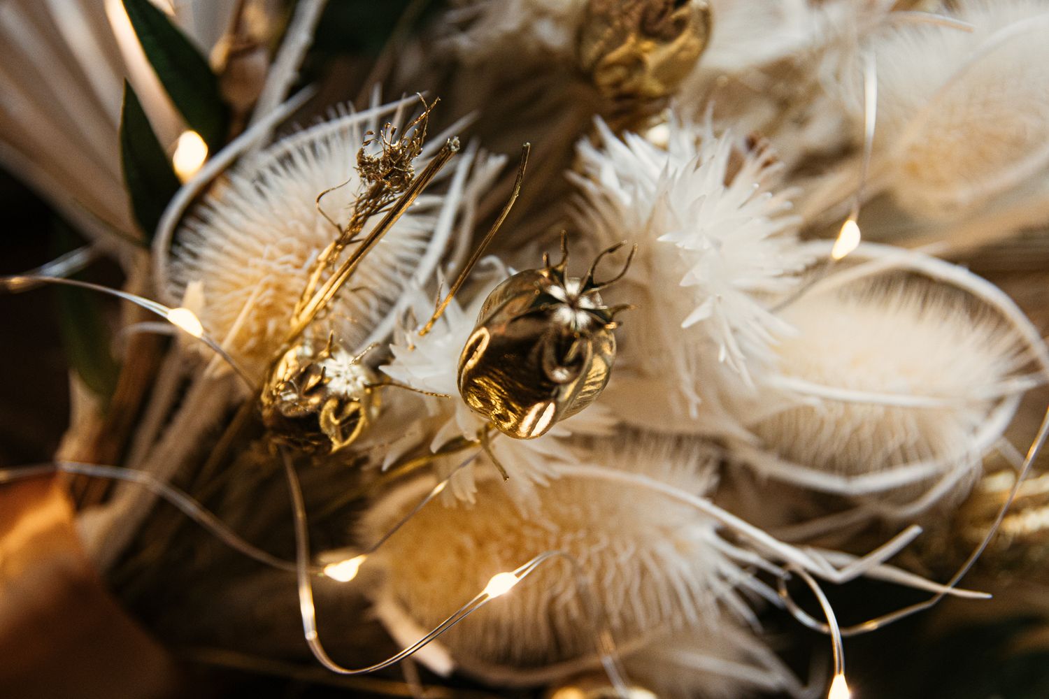 Local Northern Colorado Photographer working with Engagement, Elopements and Weddings