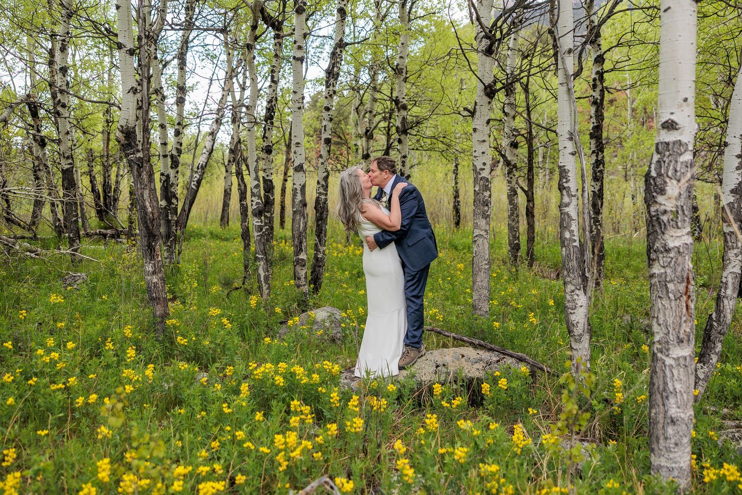 A couple embraces in a spring forest surrounded by birch trees and yellow wildflowers in bloom.