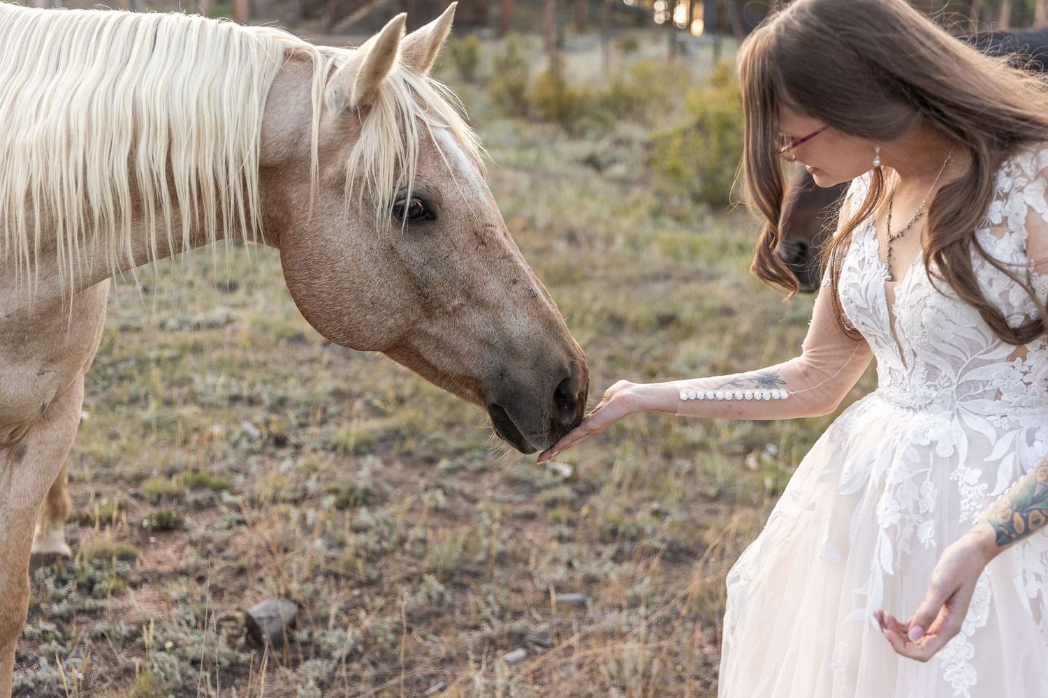 mountain wedding, rustic wedding, Colorado wedding, Sundance Trail Guest Ranch, Red Feather wedding, sunset wedding phot