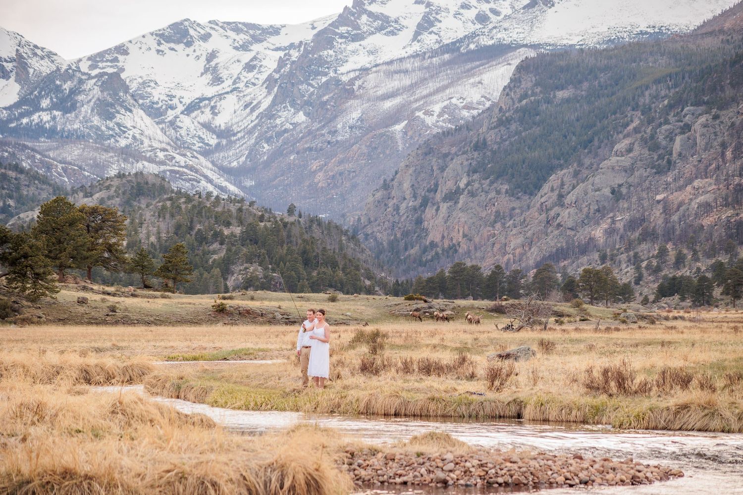 A panoramic view of snow-capped mountain peaks and rugged terrain in a pristine wilderness landscape.
