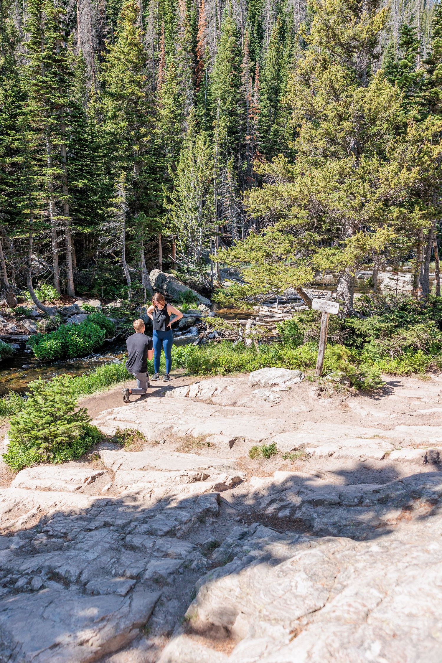 Hikers on rocky trail surrounded by tall pine trees in a mountain forest wilderness area.