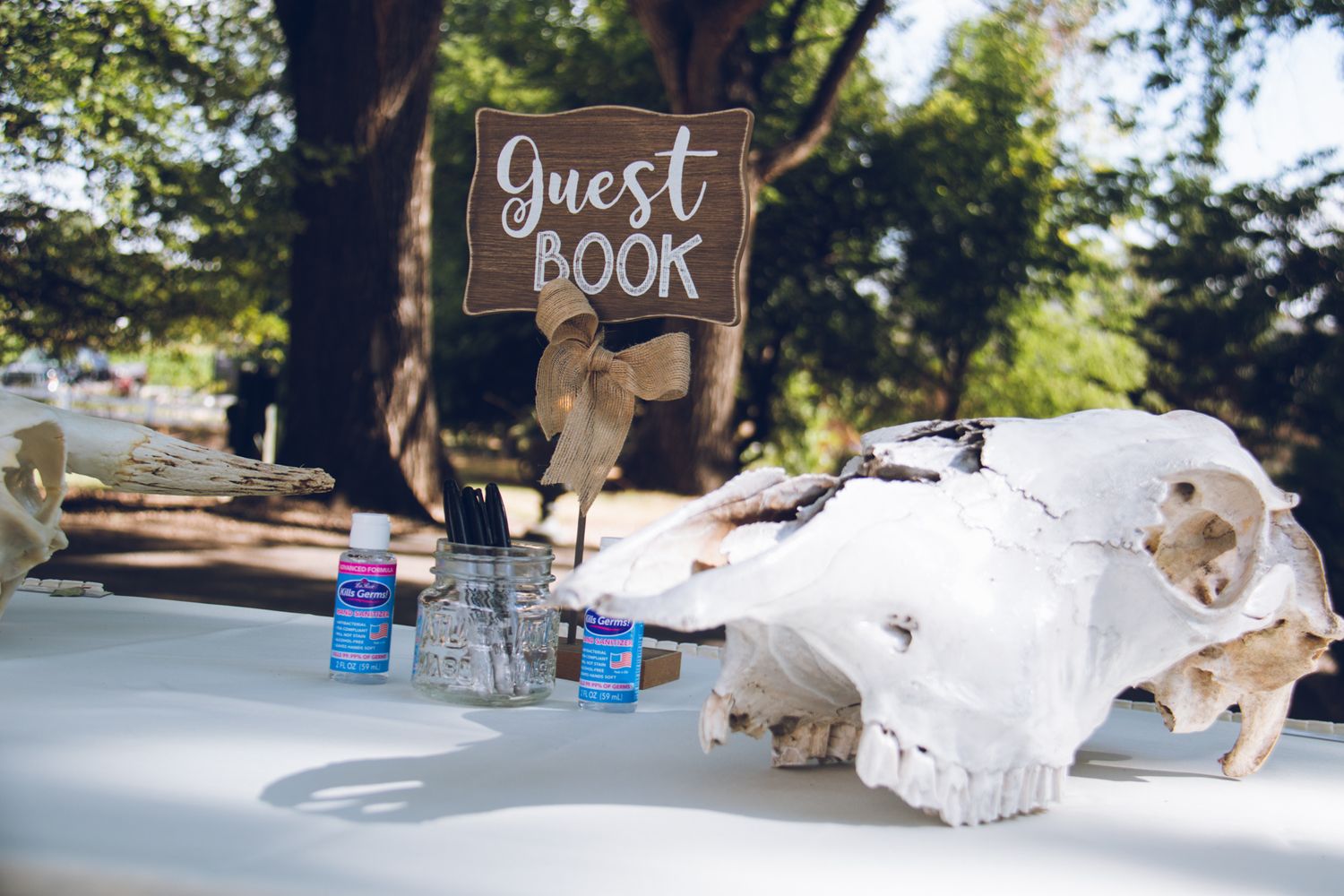 Fort Collins Engagement, Elopement and Wedding Photographer