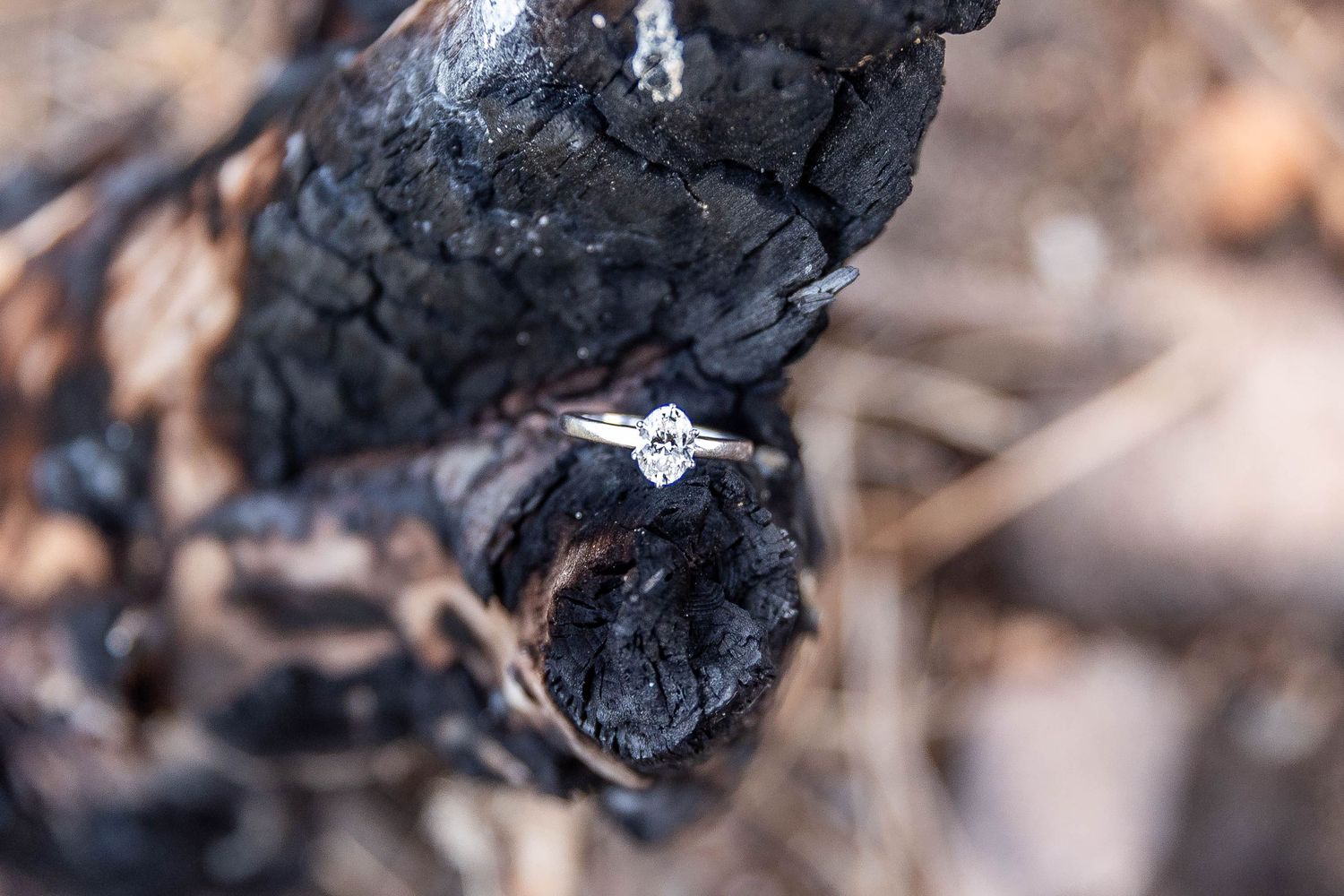 Colorado Engagement Photographer, Loveland Engagement Photographer, Fort Collins engagement photographer, Lyons Engagement photographer