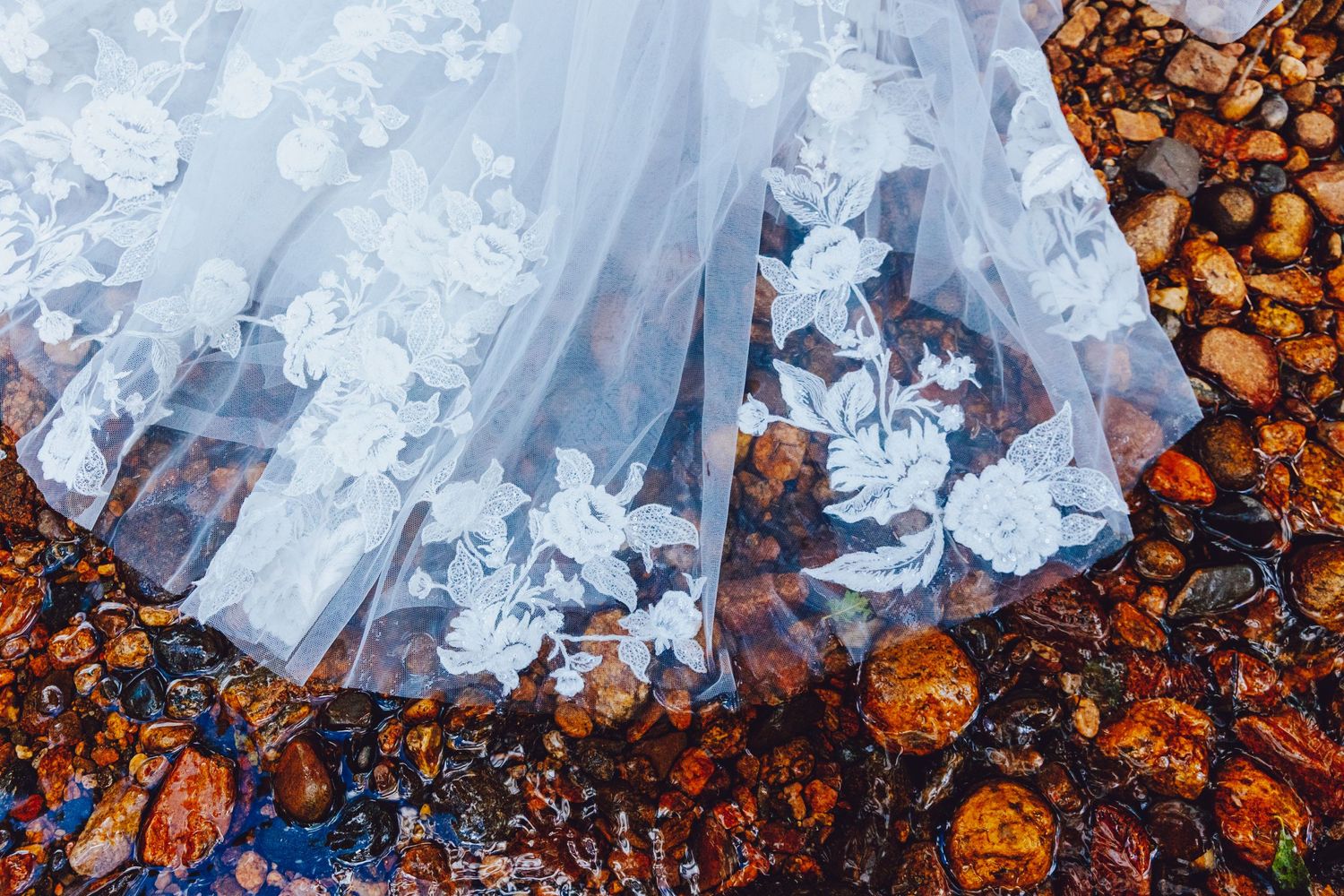 Rocky Mountain National Park Elopement, National Park Elopement Photographer, Expert Wedding Photographer, Colorado