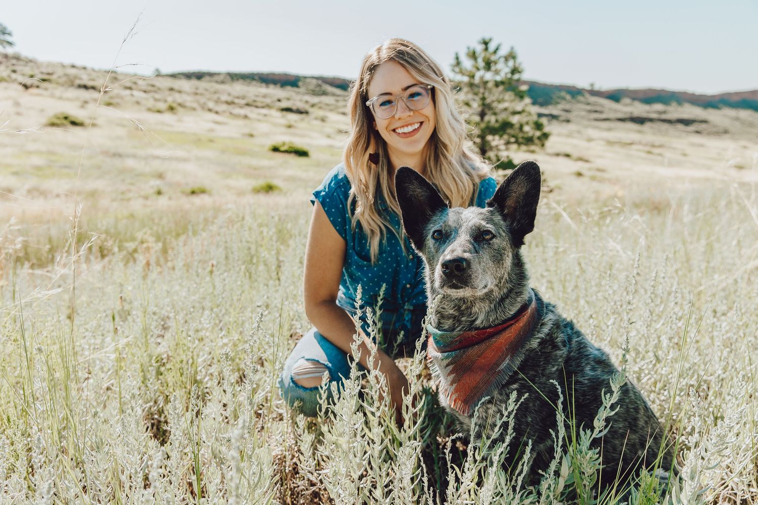 A person and their gray dog share joyful moments together in a sunny field of tall grass.