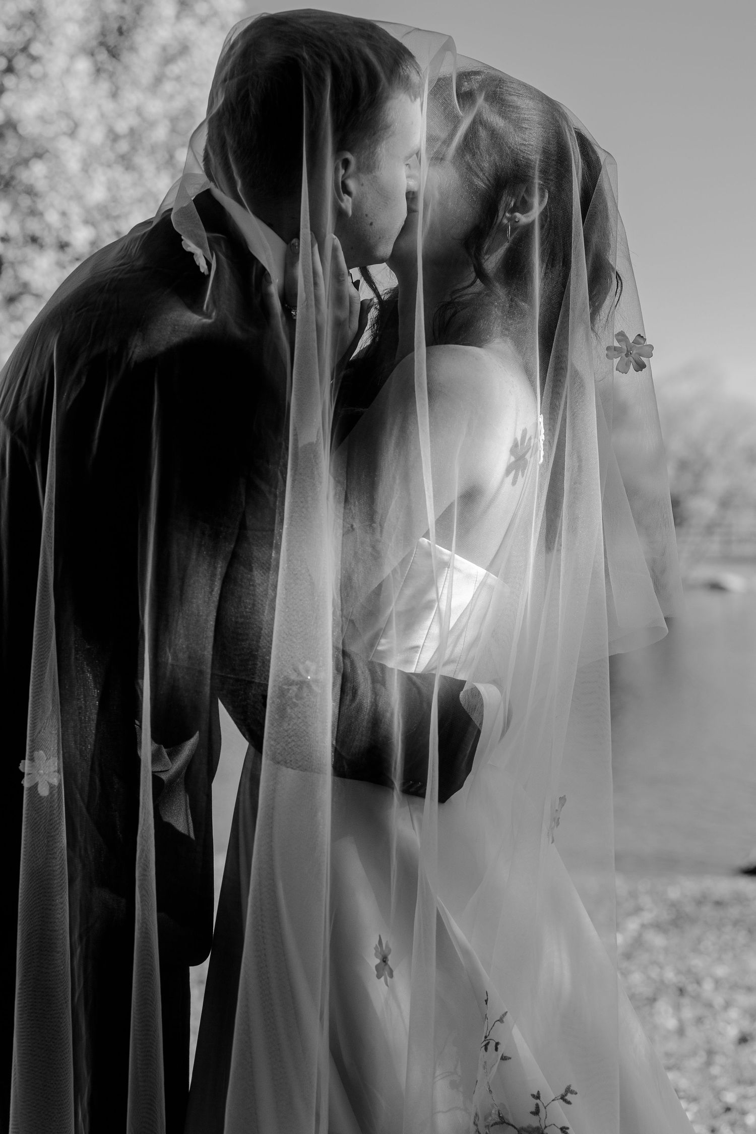 A romantic black and white wedding photo showing a couple sharing a tender moment under a delicate veil. Denver Wedding Photographer