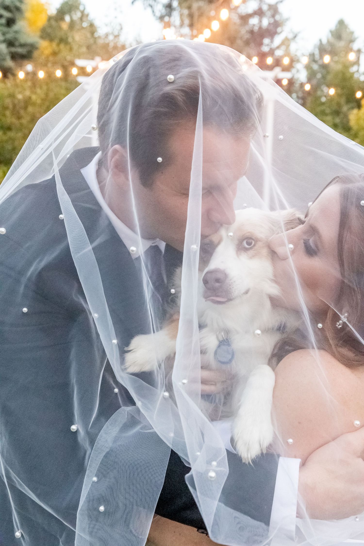A wedding couple shares intimate moment with their dog under a delicate veil in golden sunset light.