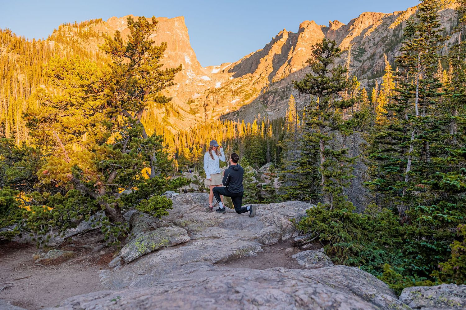 Man proposes to woman on rocky mountain overlook surrounded by pine trees and golden sunlit peaks in Rocky Mountain National Park.