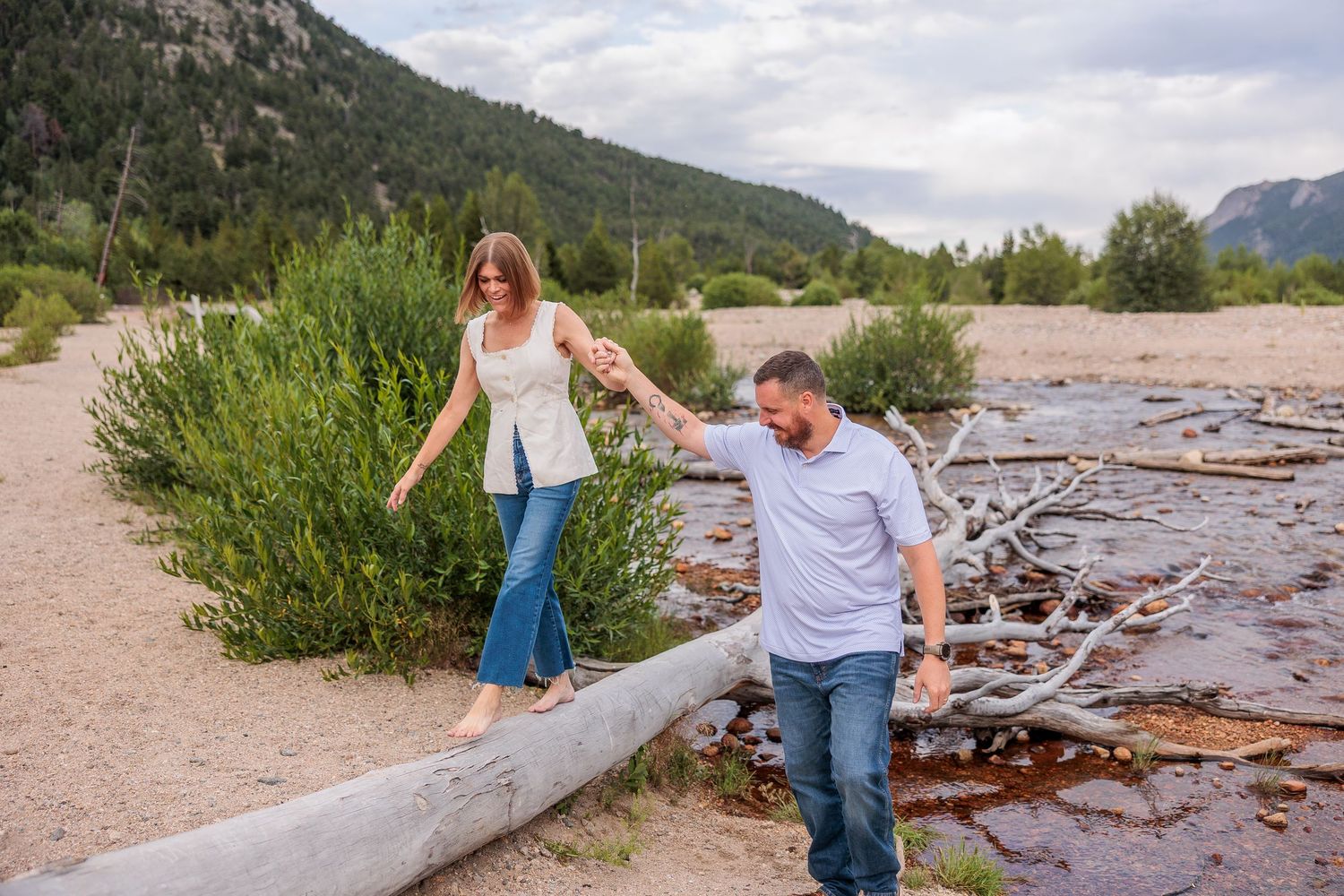 Scenic mountain landscape with driftwood and natural elements along a riverbank.