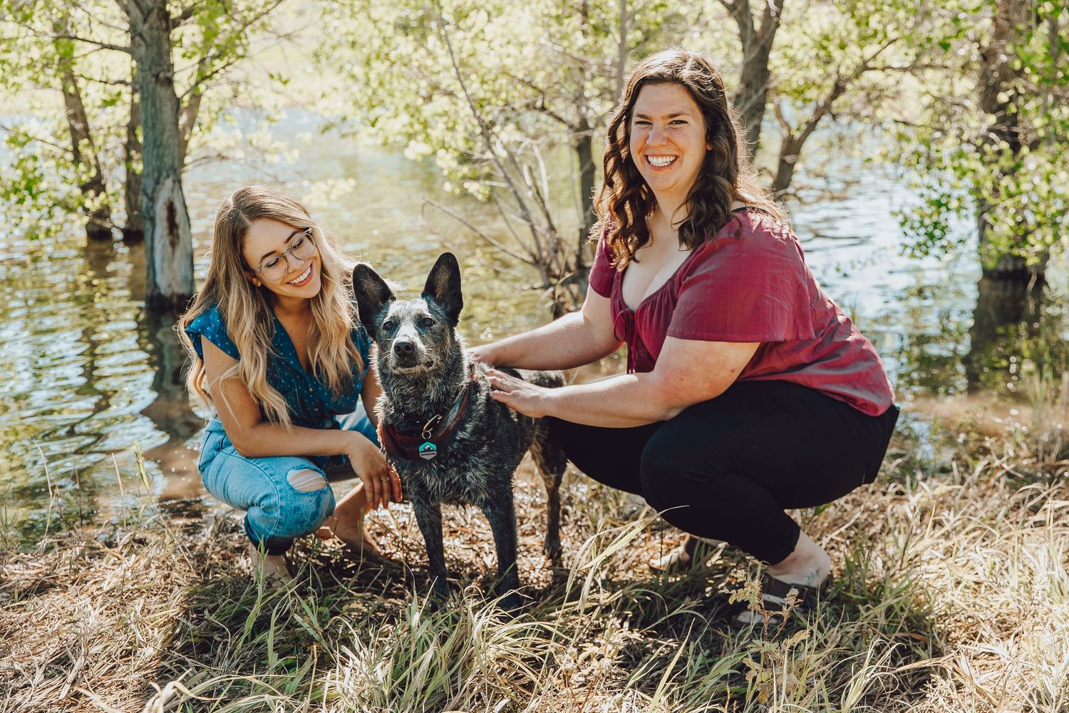 People sit outdoors with their dogs in a scenic natural setting by the water's edge.