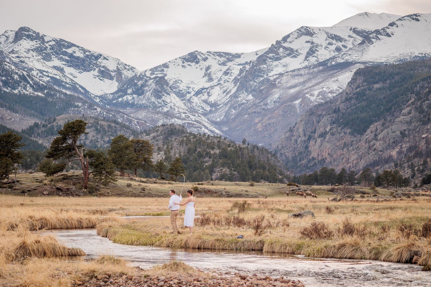 A panoramic view of snow-capped Rocky Mountains with winding roads and meadows in the foreground.