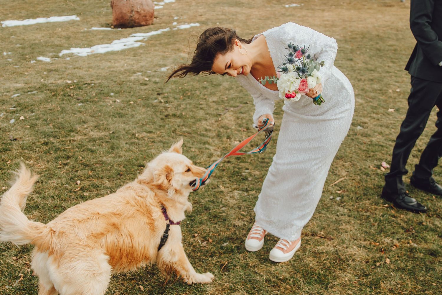 A golden retriever dog sits on grass while being offered flowers on a sunny day.