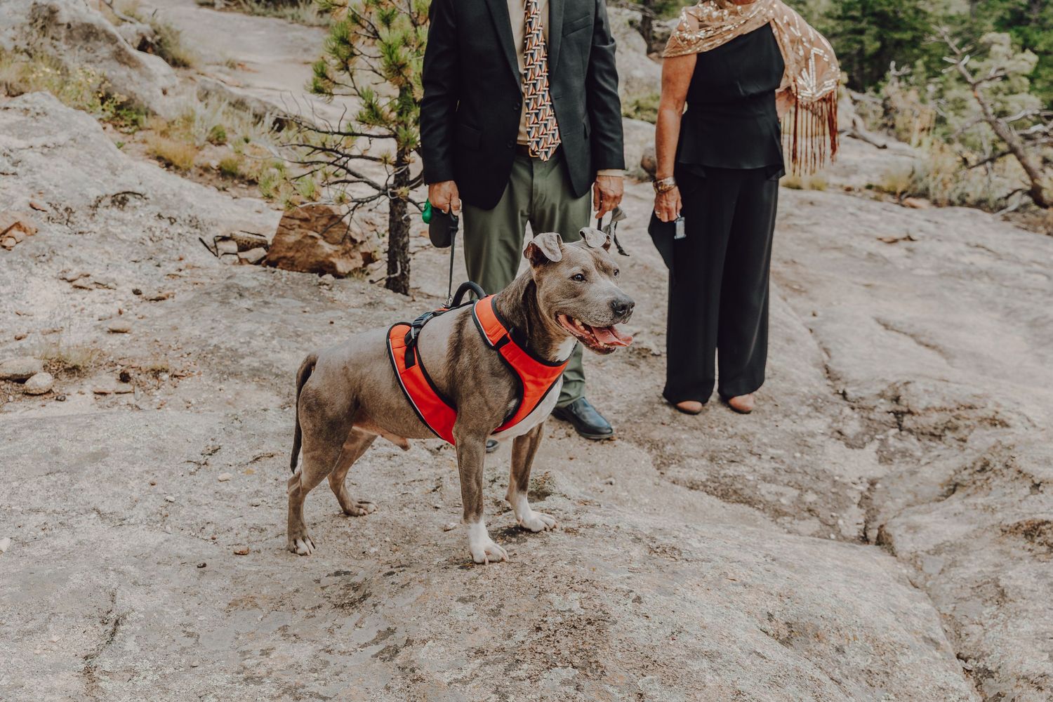 Rocky Mountain National Park Elopement, National Park Elopement Photographer, Expert Wedding Photographer, Colorado