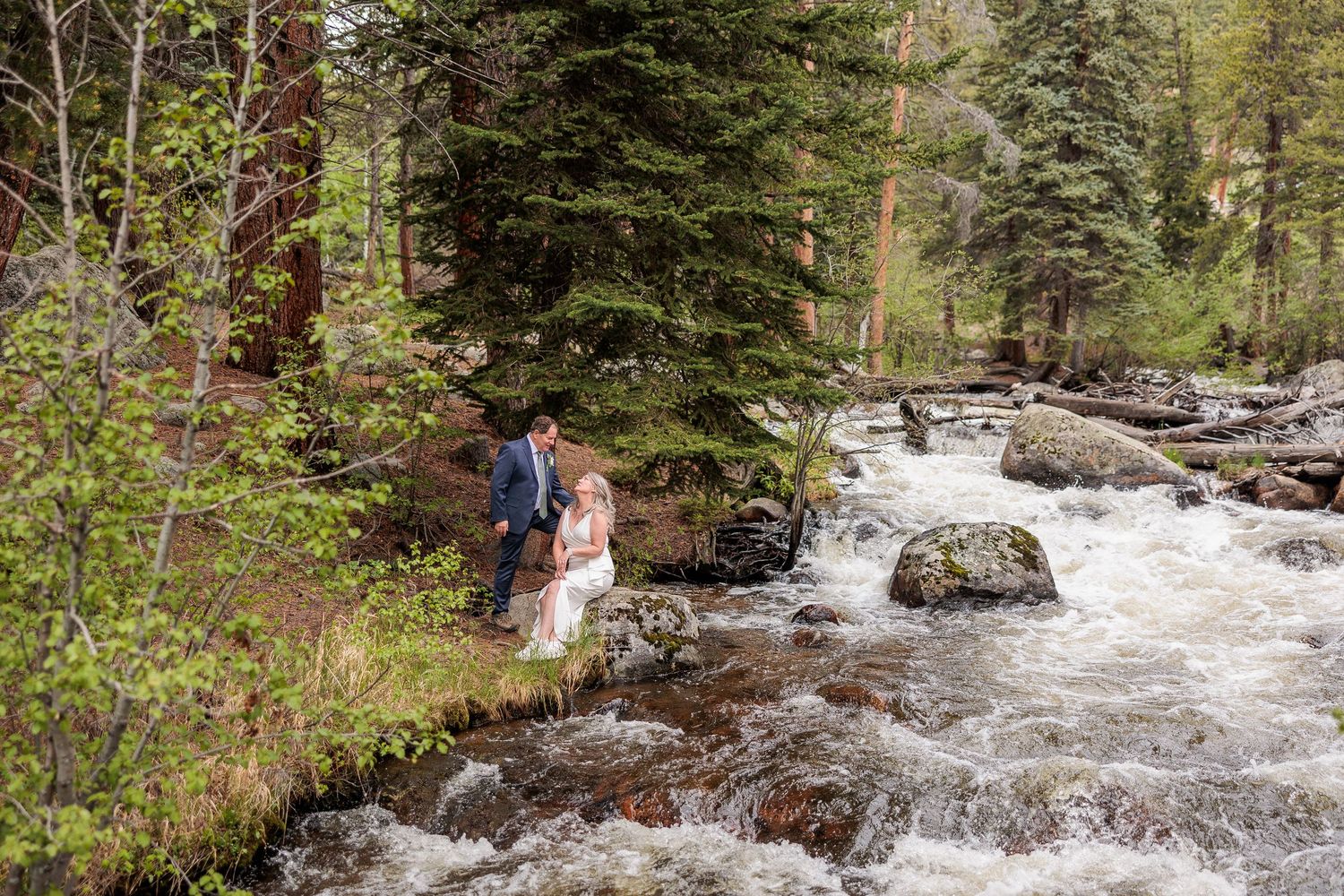 Rushing mountain stream flows through evergreen forest with cascading waterfalls and rocky terrain.