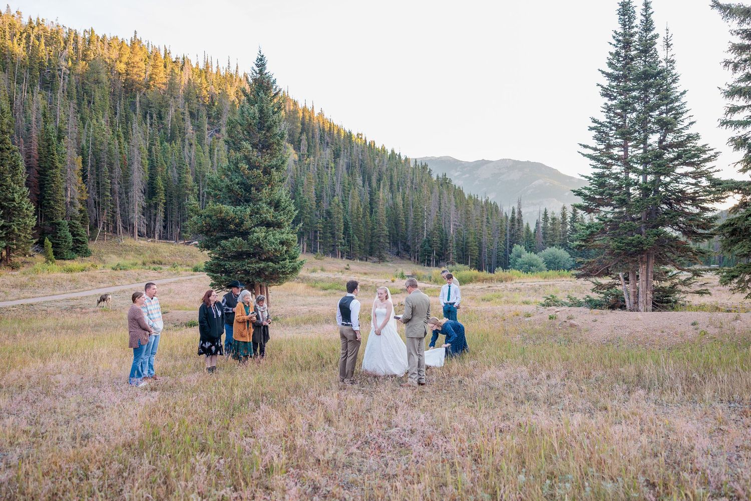 Rocky Mountain National Park photographer, RMNP elopement photographer, RMNP engagement, Rocky Mountain National Park elopement locations