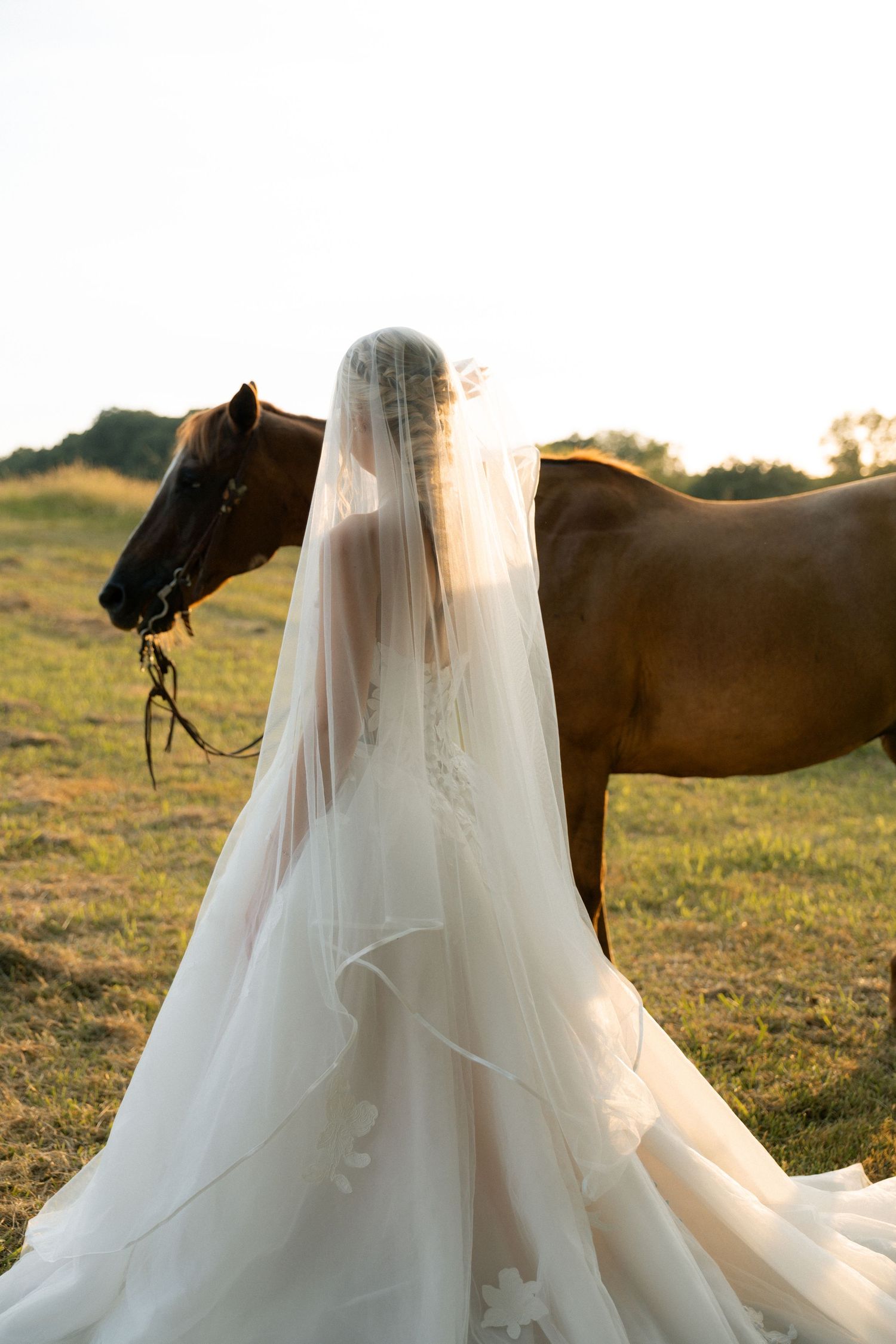 Bride in white gown and veil standing beside a brown horse in a sunlit field.