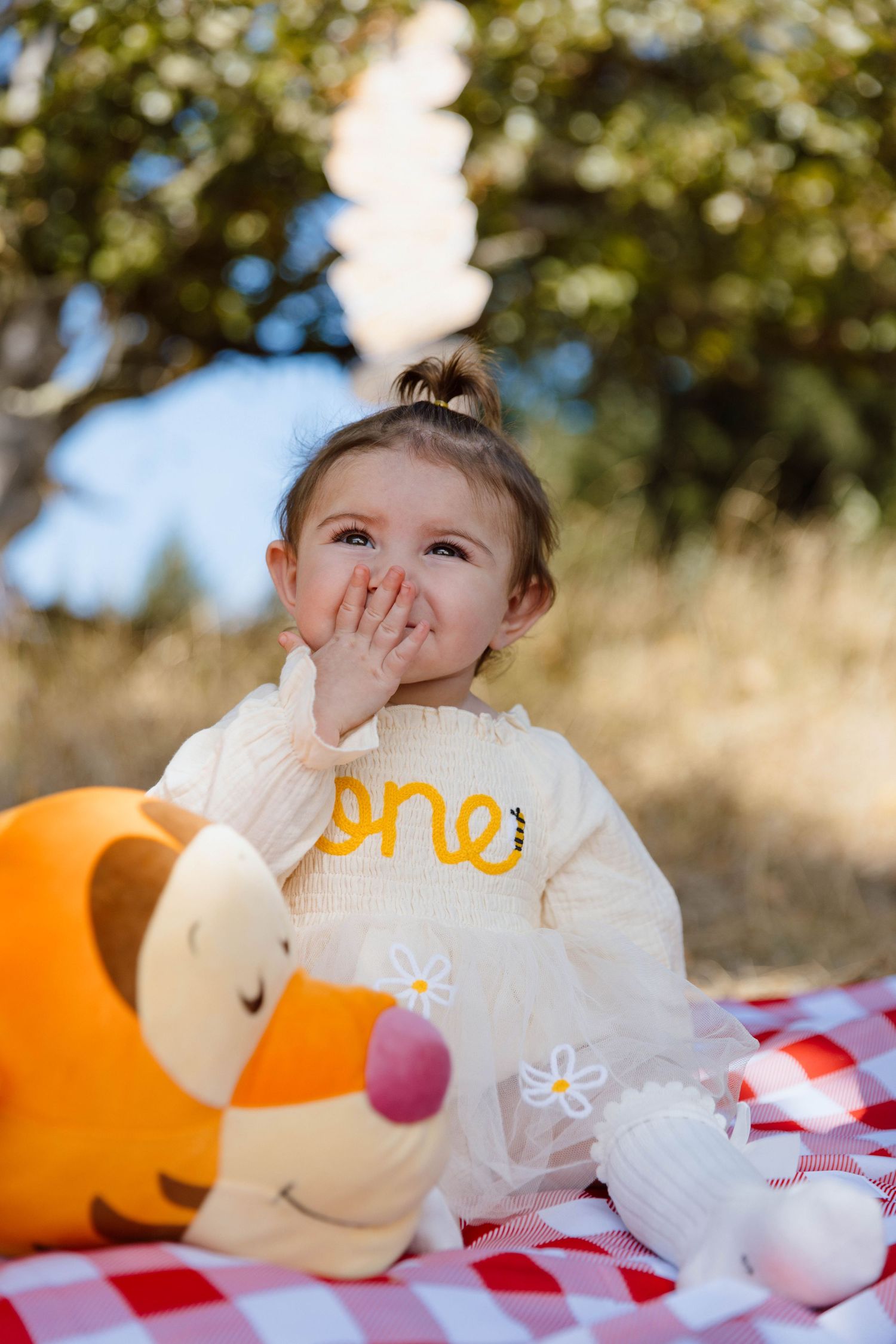 Sequence of photos showing a playful moment with a soft plush toy on a red and white checkered blanket outdoors.