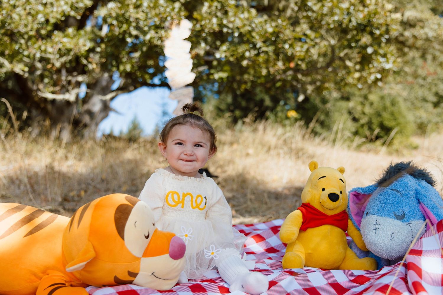 Colorful collection of Winnie the Pooh plush toys arranged on a blanket outdoors in natural sunlight.