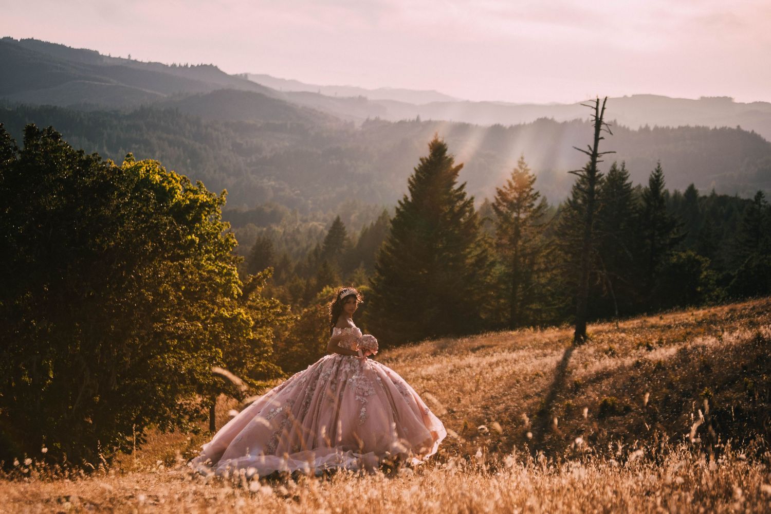 A scenic sunset view across rolling hills with golden grass and evergreen trees in the Pacific Northwest landscape.