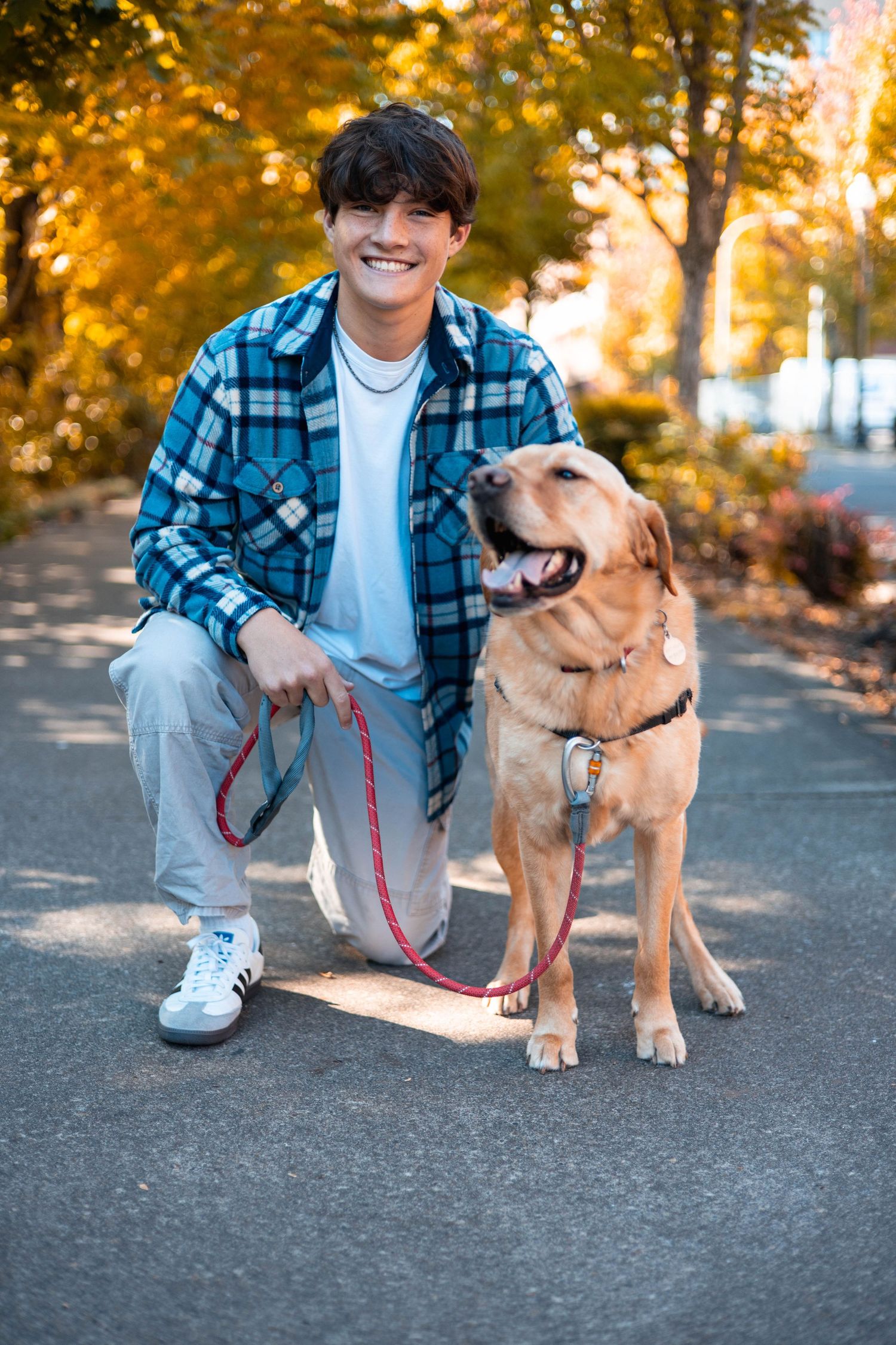 A person in a plaid shirt kneels next to their happy golden retriever on an autumn path with golden foliage.