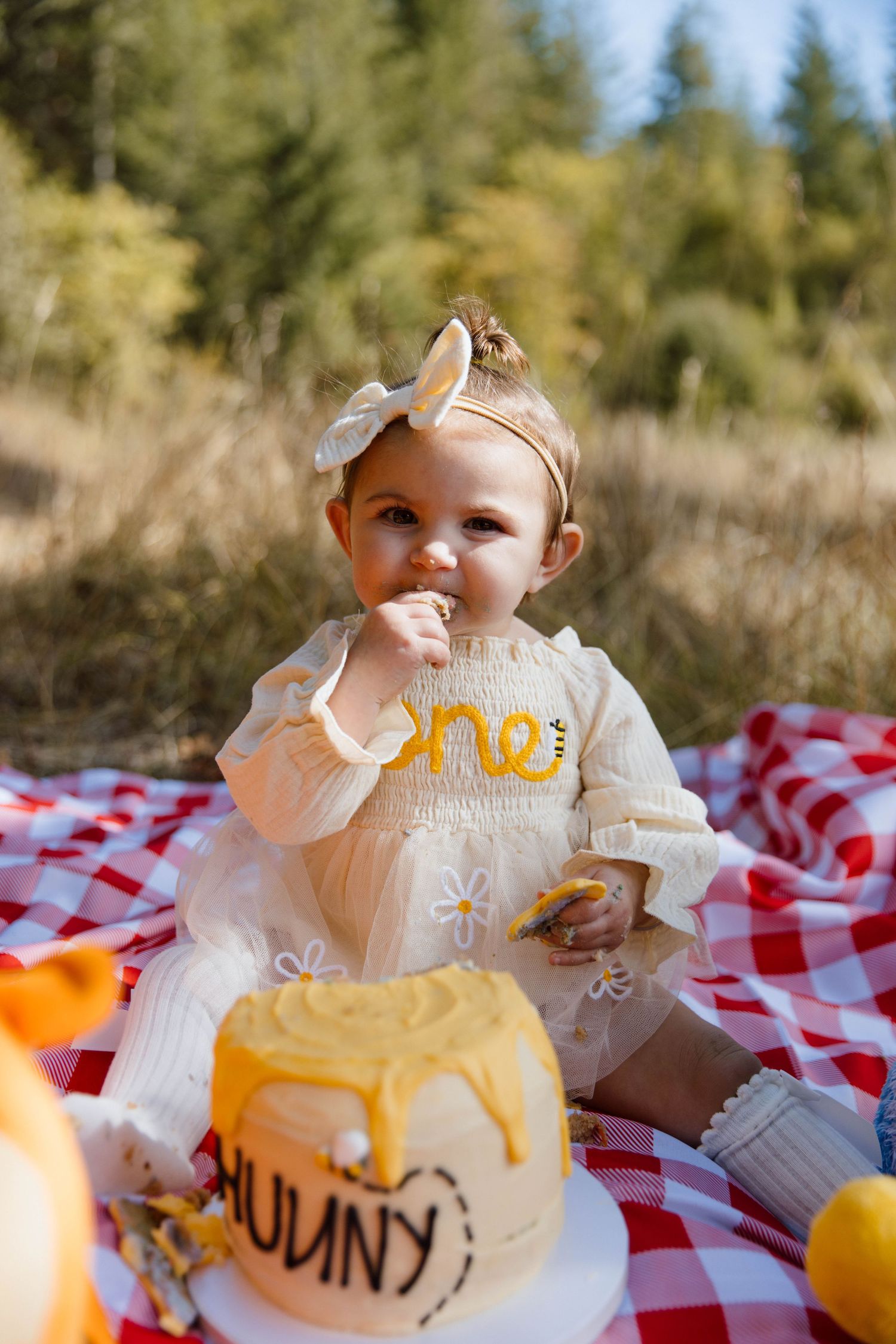 Baby in white dress sits on red checkered picnic blanket outdoors with lemons and jars in sunlit setting.