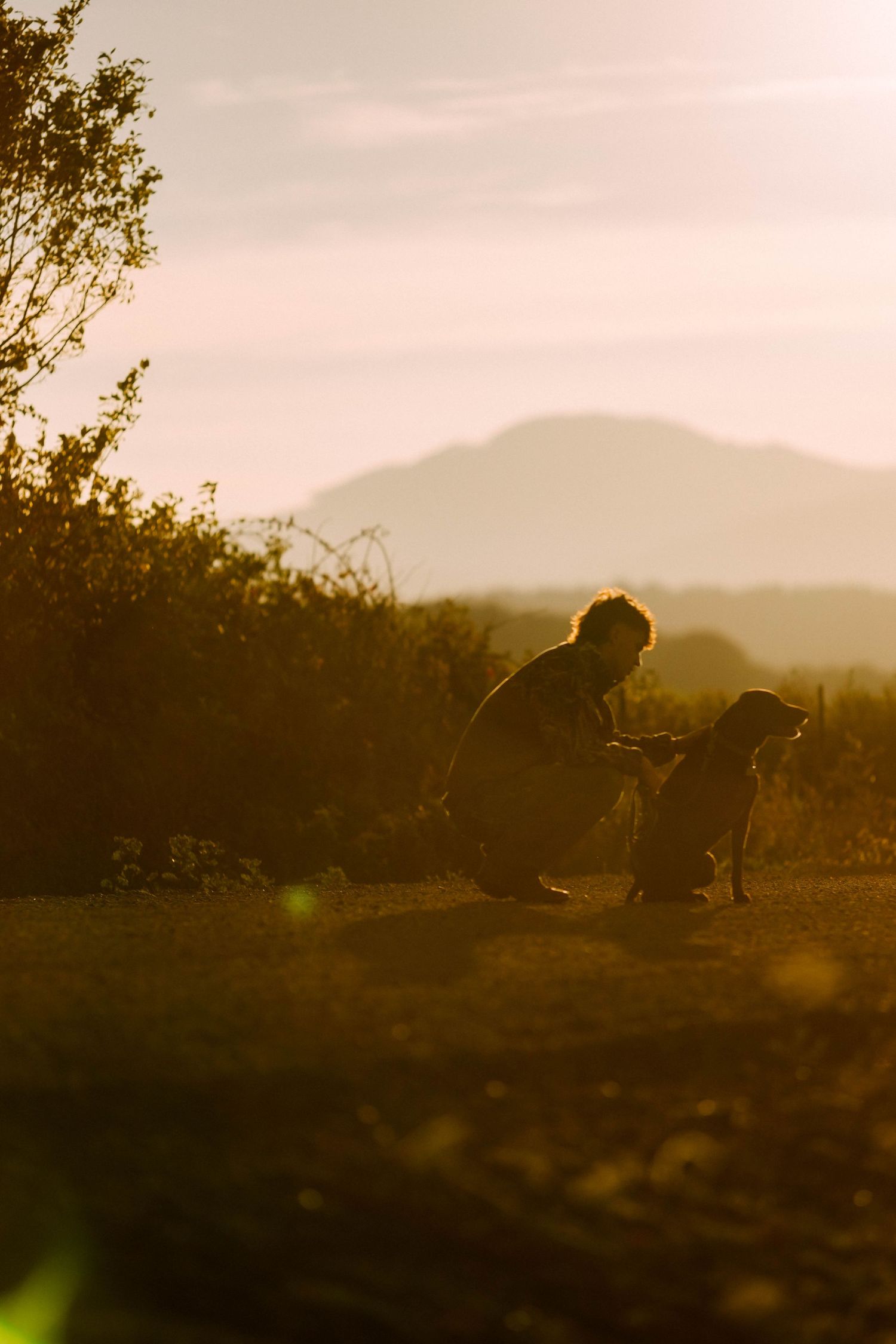 Silhouettes of figures against a misty mountain landscape at sunset with soft golden lighting.