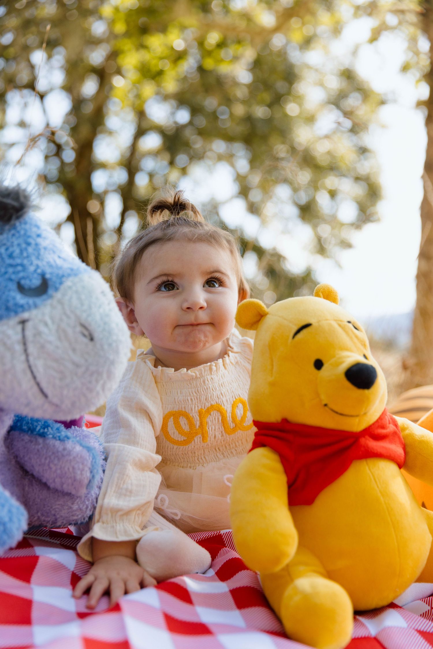 A baby sits on a red checkered blanket with Winnie the Pooh plush toys during an outdoor photoshoot.