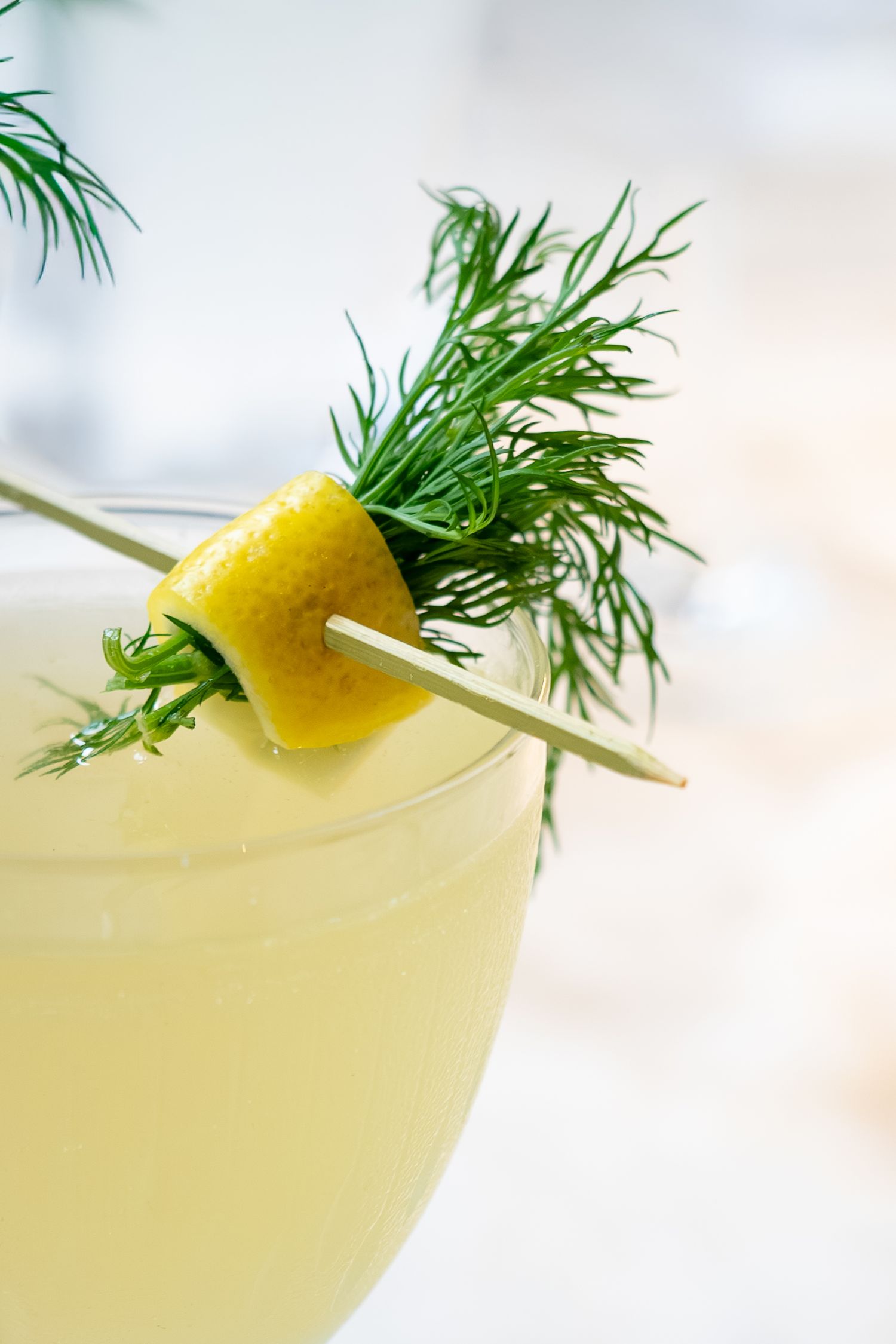 Food and Beverage Photography - Saint Bibiana -  Savannah Georgia - Hotel Bardo