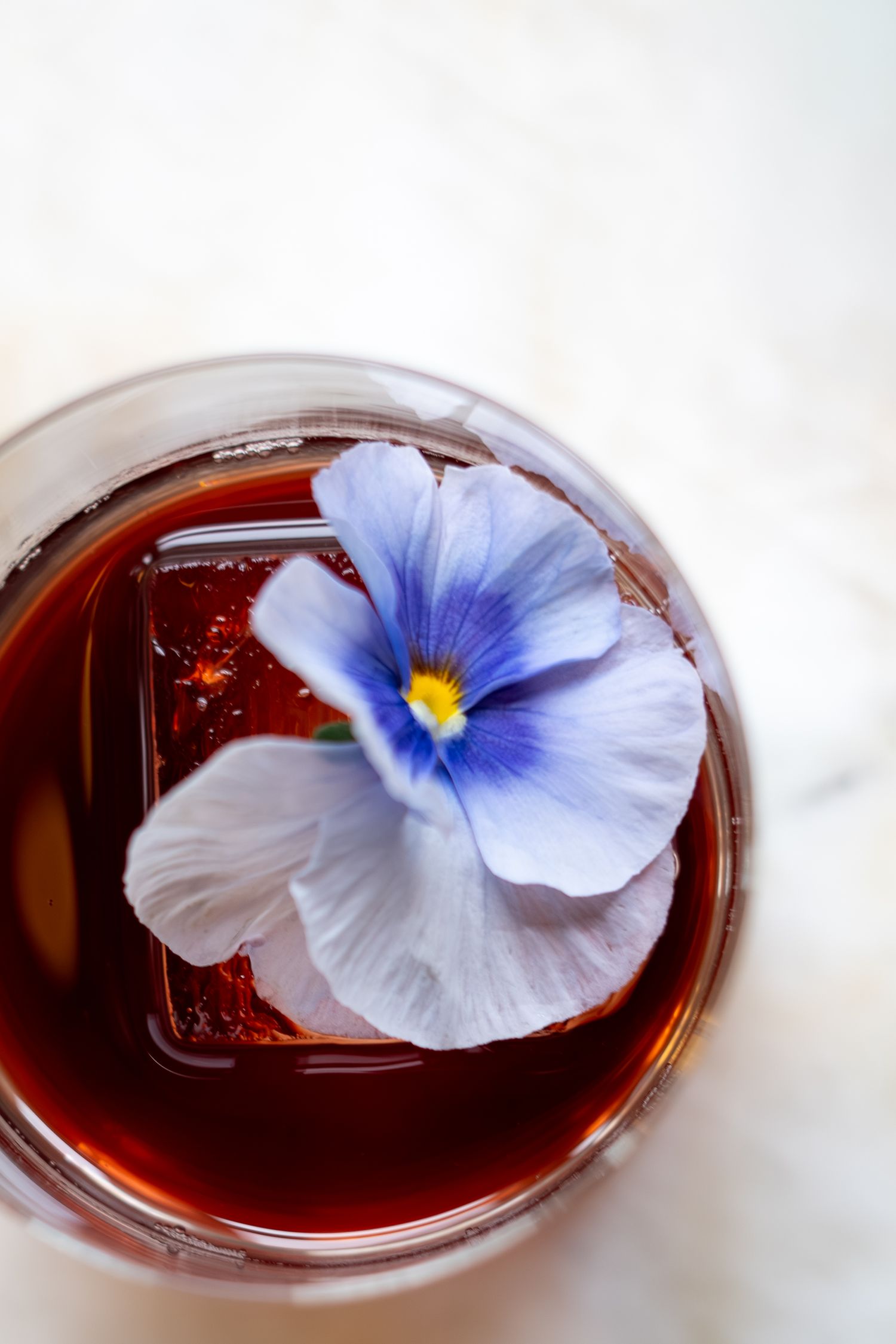 Food and Beverage Photography - Saint Bibiana -  Savannah Georgia - Hotel Bardo