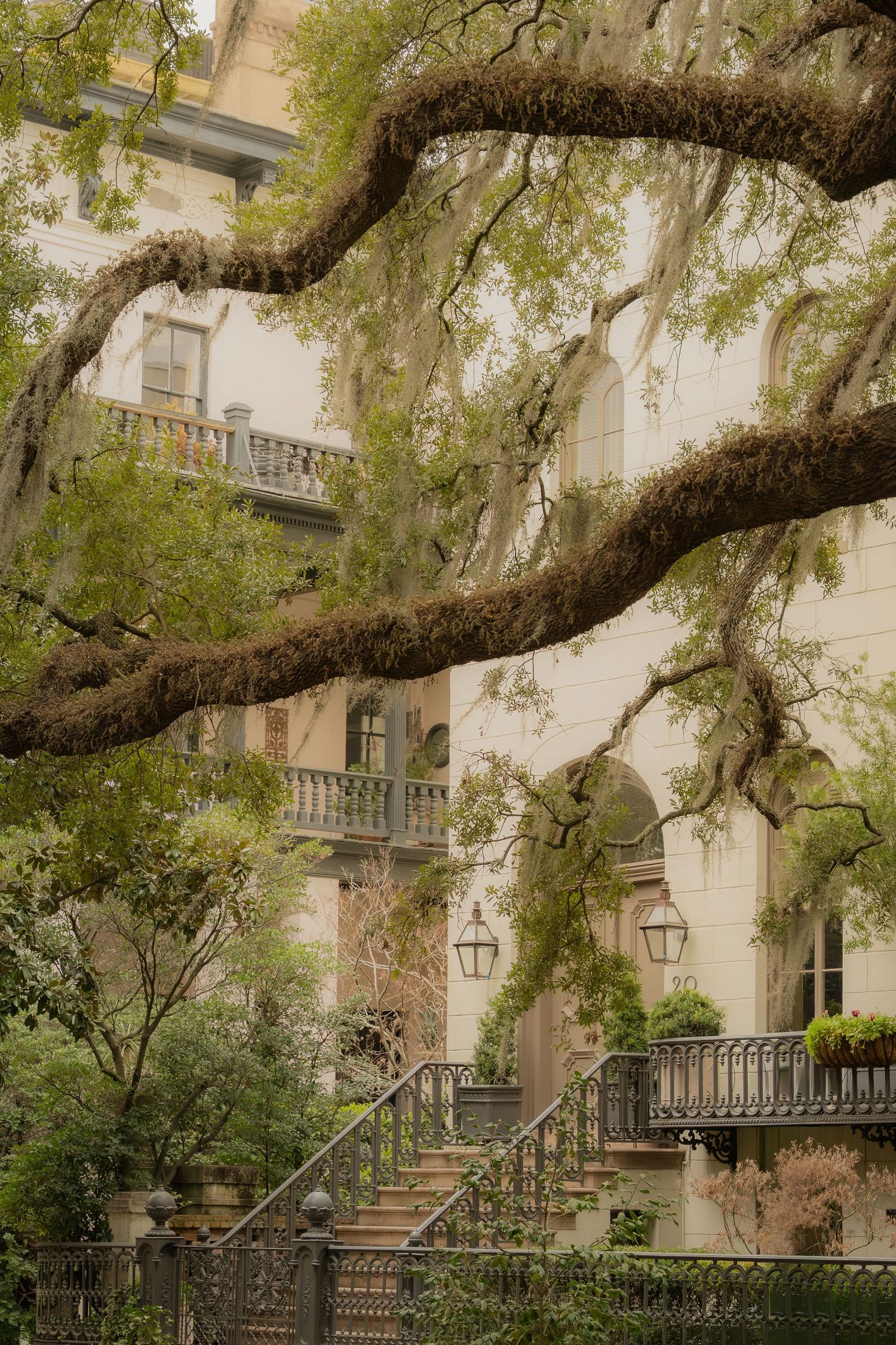 Savannah Georgia - Forsyth Park Photography