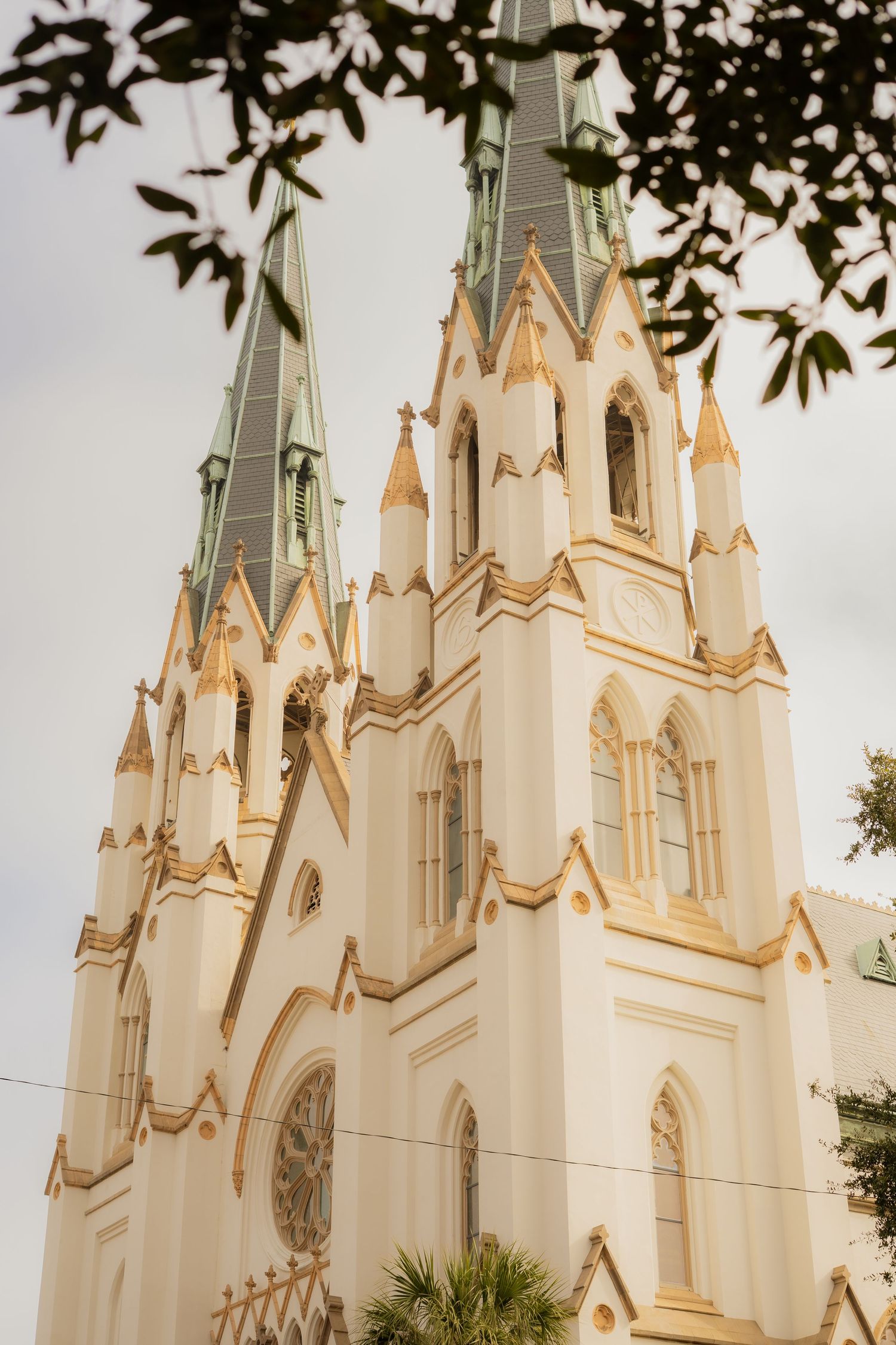 Savannah Georgia - Forsyth Park Photography - The Cathedral