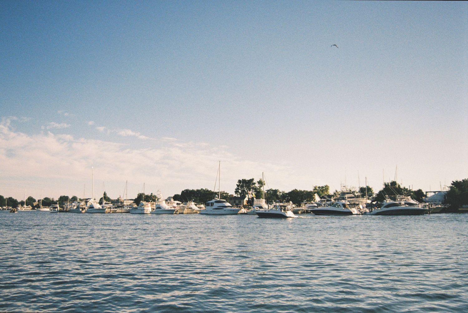 Solomons Island on film.