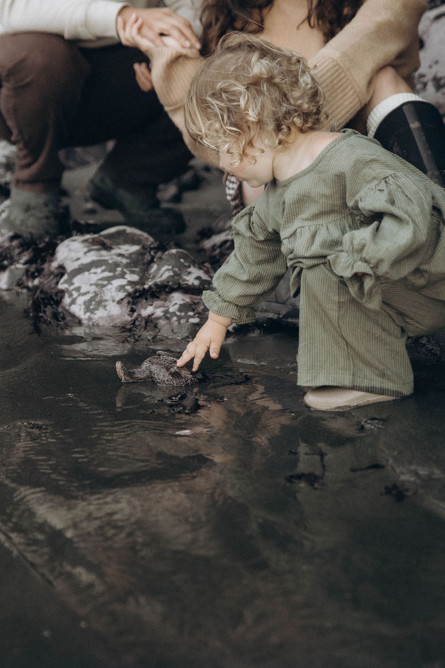 A little girl with curly blonde hair touches a starfish in a tide pool on the Oregon coast