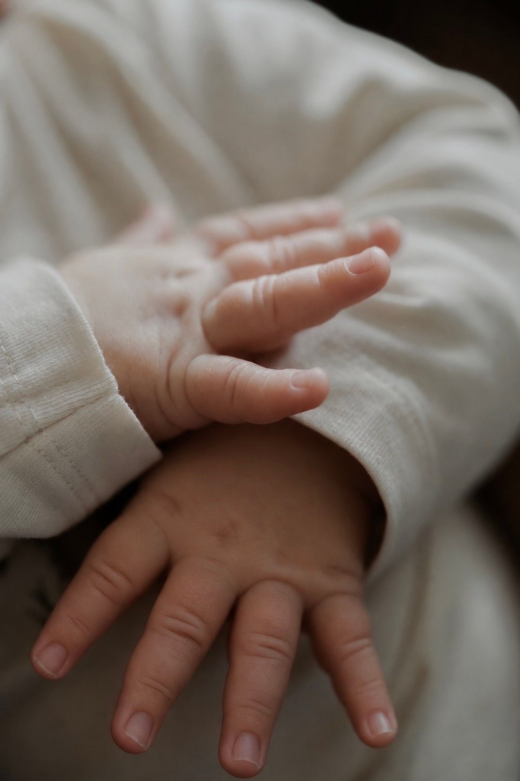 Detailfoto van babyhandjes gefotografeerd. Newborn shoot.