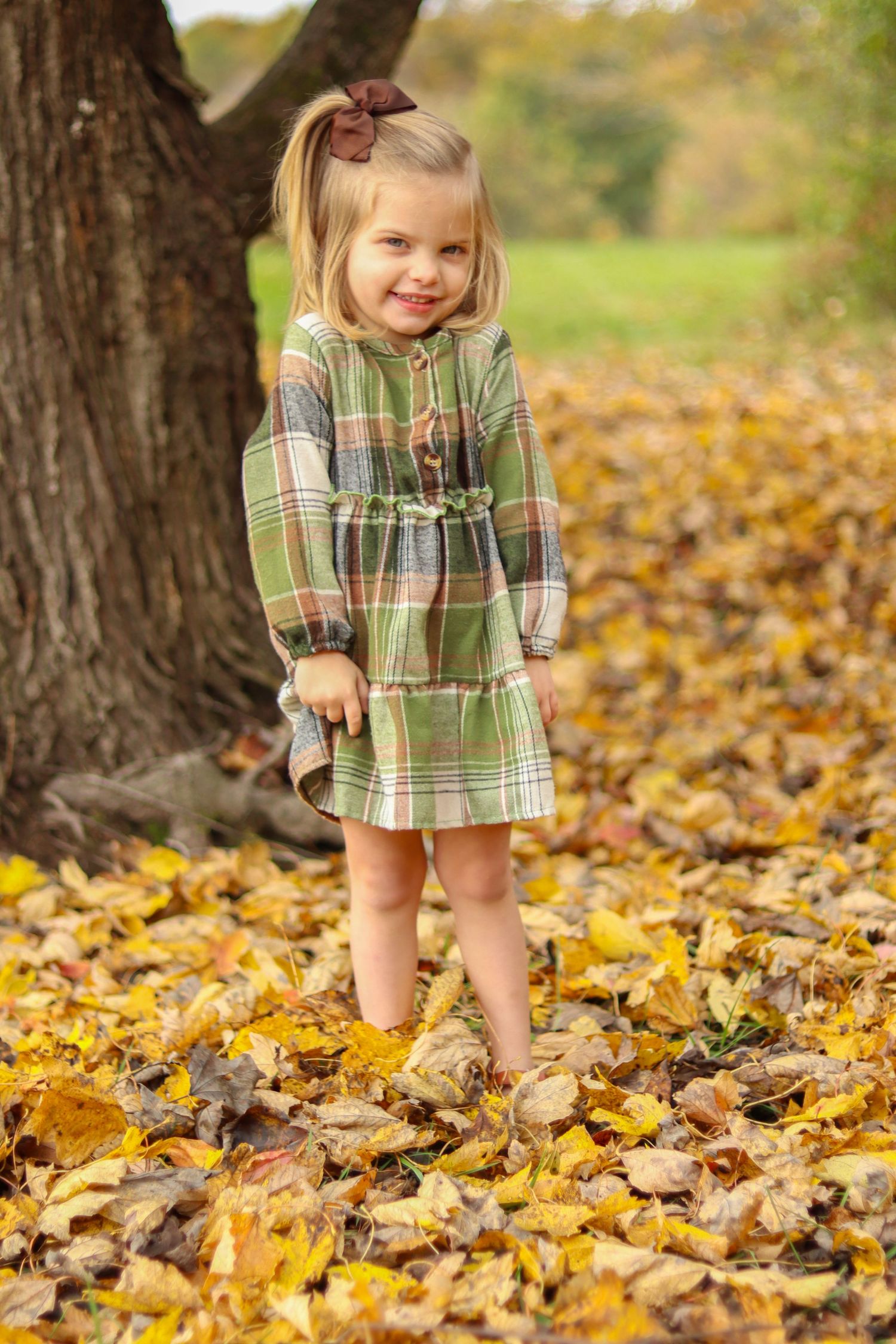 Adorable little girl in plaid dress smiling while standing in colorful fallen autumn leaves.