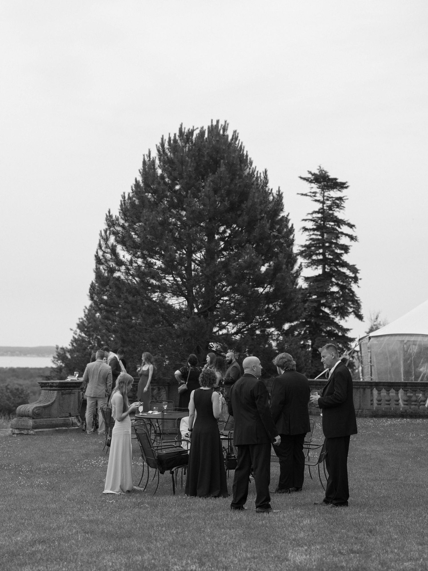 Black and white photo of elegantly dressed wedding guests mingling on a lawn beside tall evergreen trees.