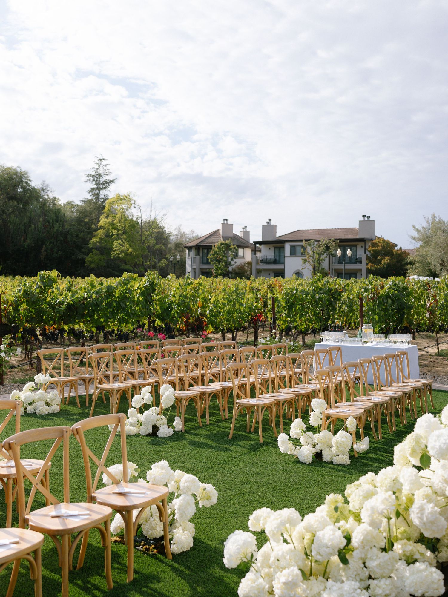 Outdoor vineyard wedding ceremony setup with white hydrangeas lining the aisle and wooden cross-back chairs on green grass.