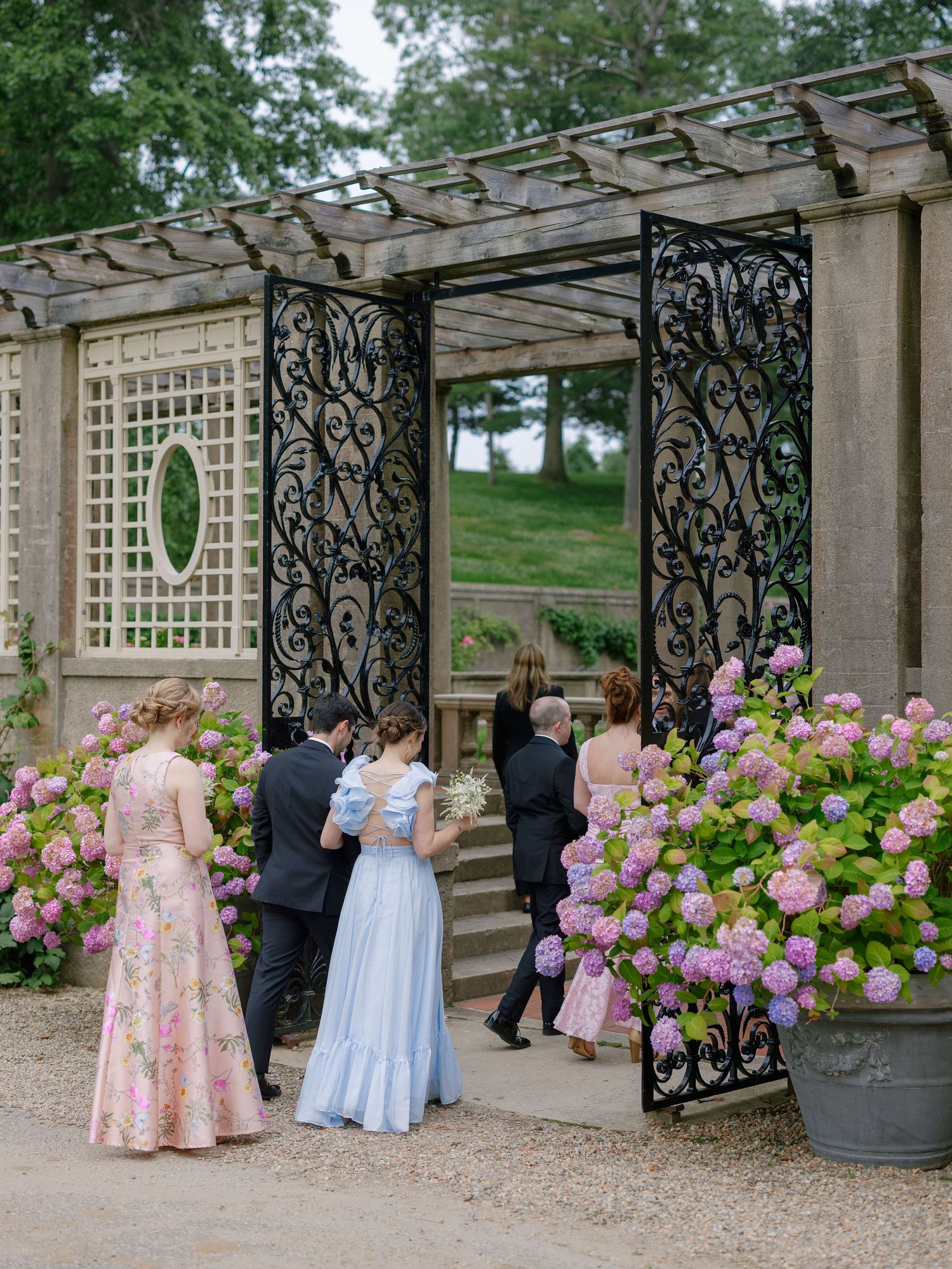 Wedding party entering ornate iron garden gate surrounded by blooming pink hydrangeas.