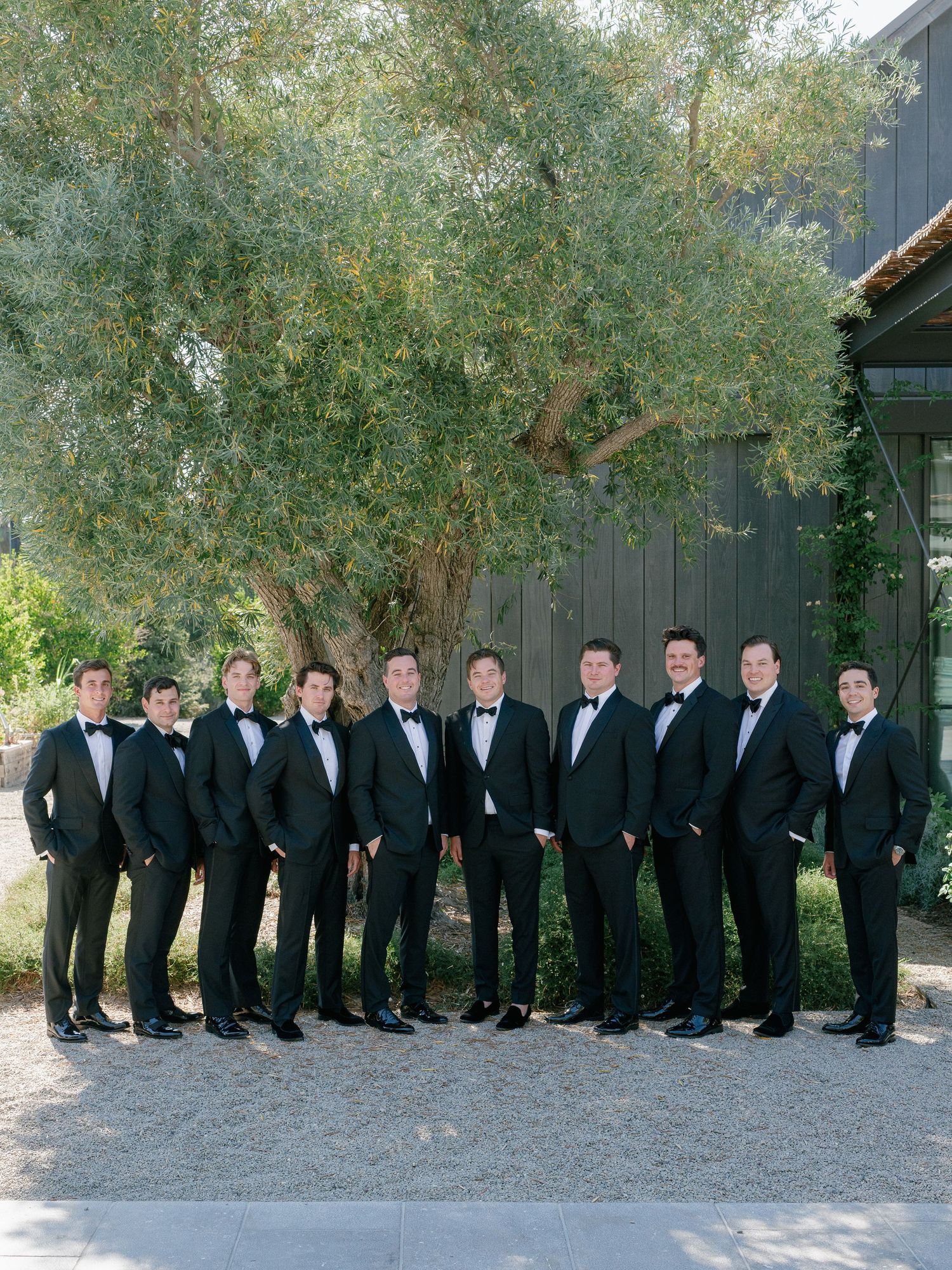 Groom and ten groomsmen in matching black tuxedos and bow ties posing under olive tree.