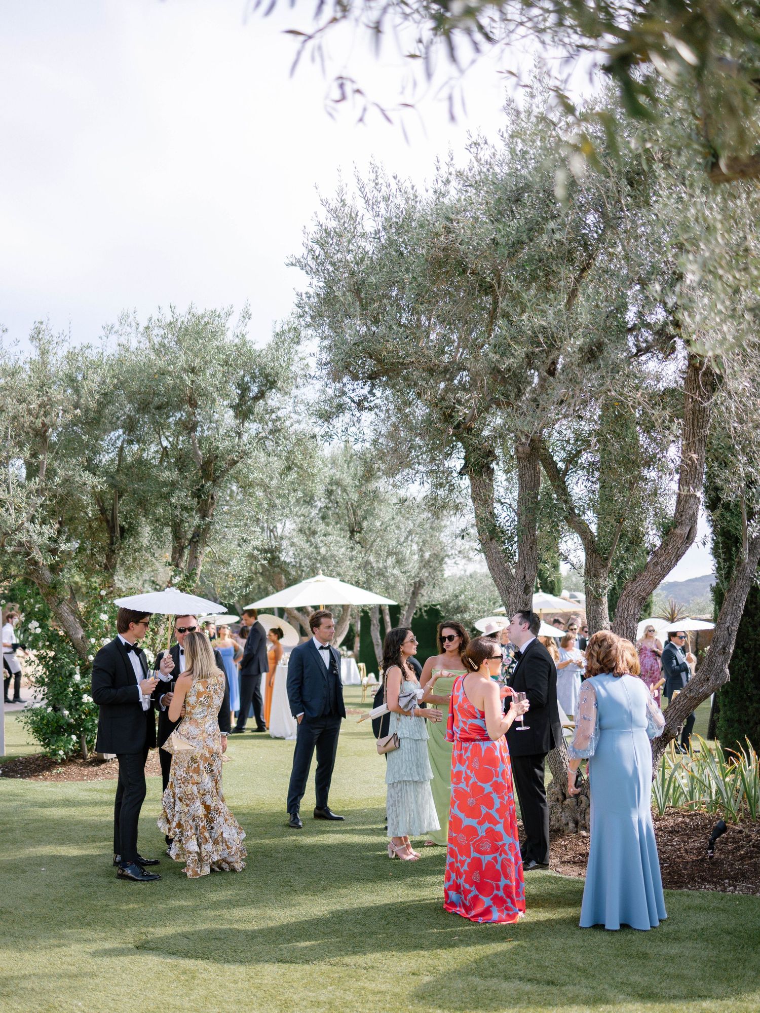 Elegantly dressed wedding guests mingle outdoors under olive trees at a garden cocktail hour.