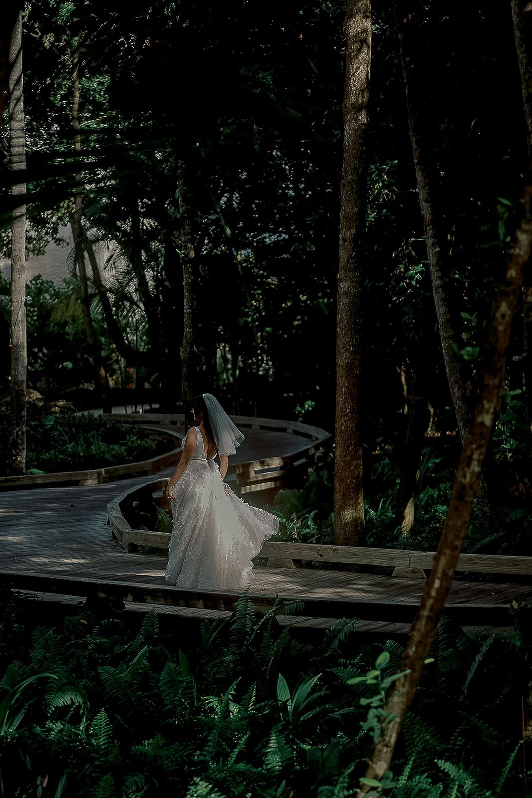 Bride in white gown and veil walks along winding wooden boardwalk path through lush tropical forest.