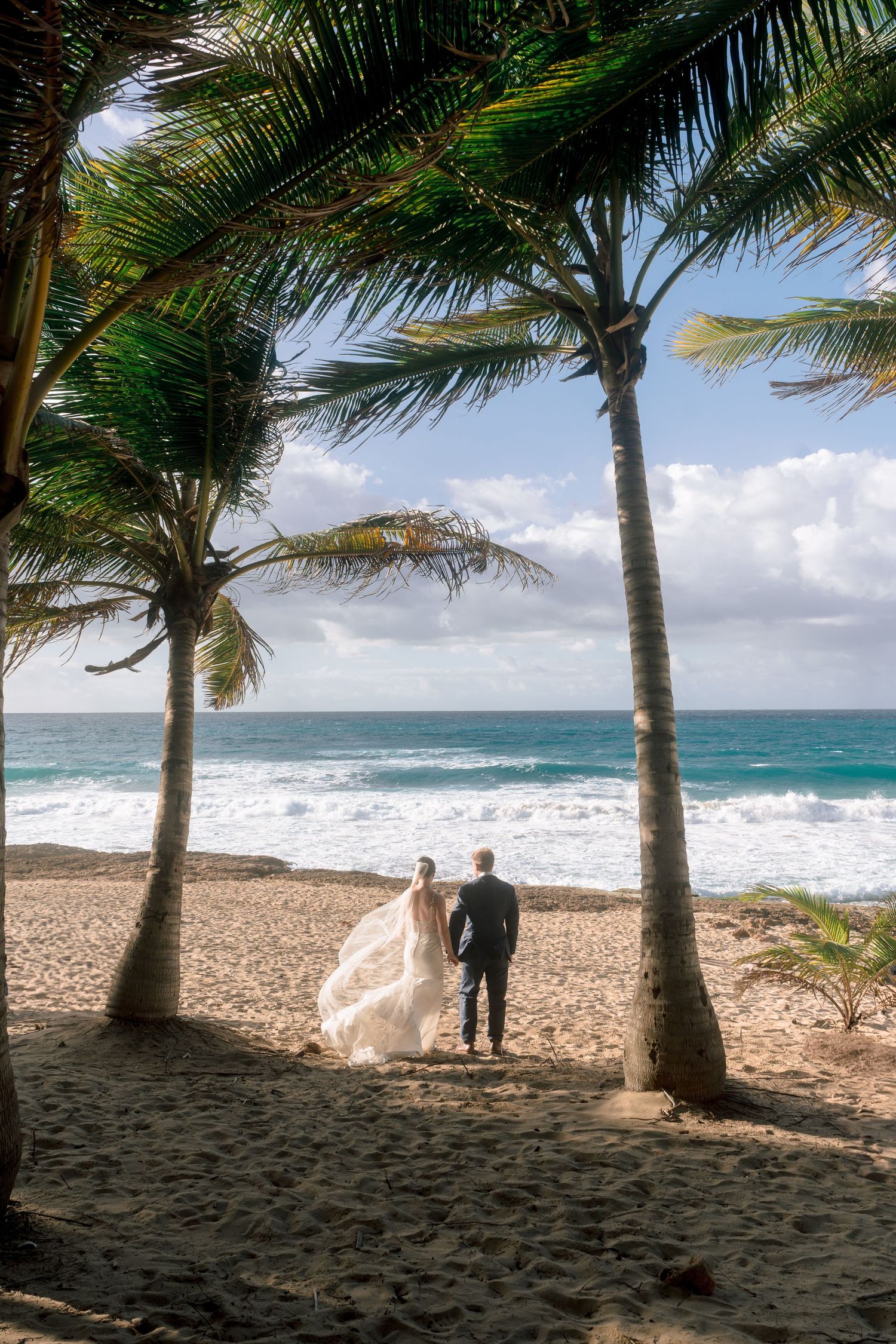 Bride and groom stand between palm trees on a tropical beach, gazing at turquoise ocean waves on their wedding day.