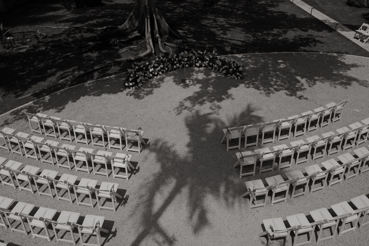 Aerial black and white photo of empty wedding chairs arranged in rows with tree shadow cast across outdoor ceremony venue.