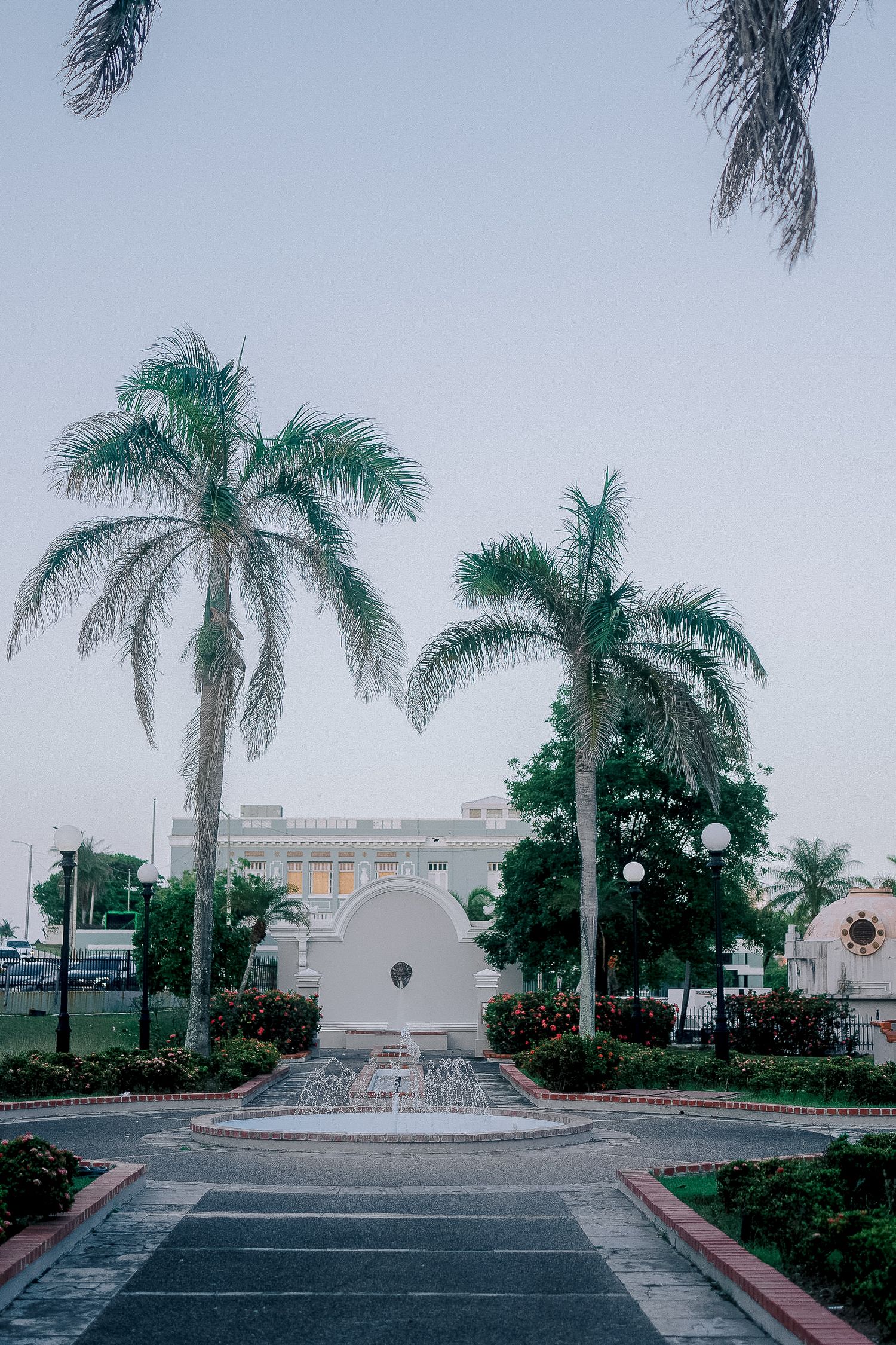 Tropical venue entrance with tall palm trees, circular fountain, and white neoclassical building at twilight.