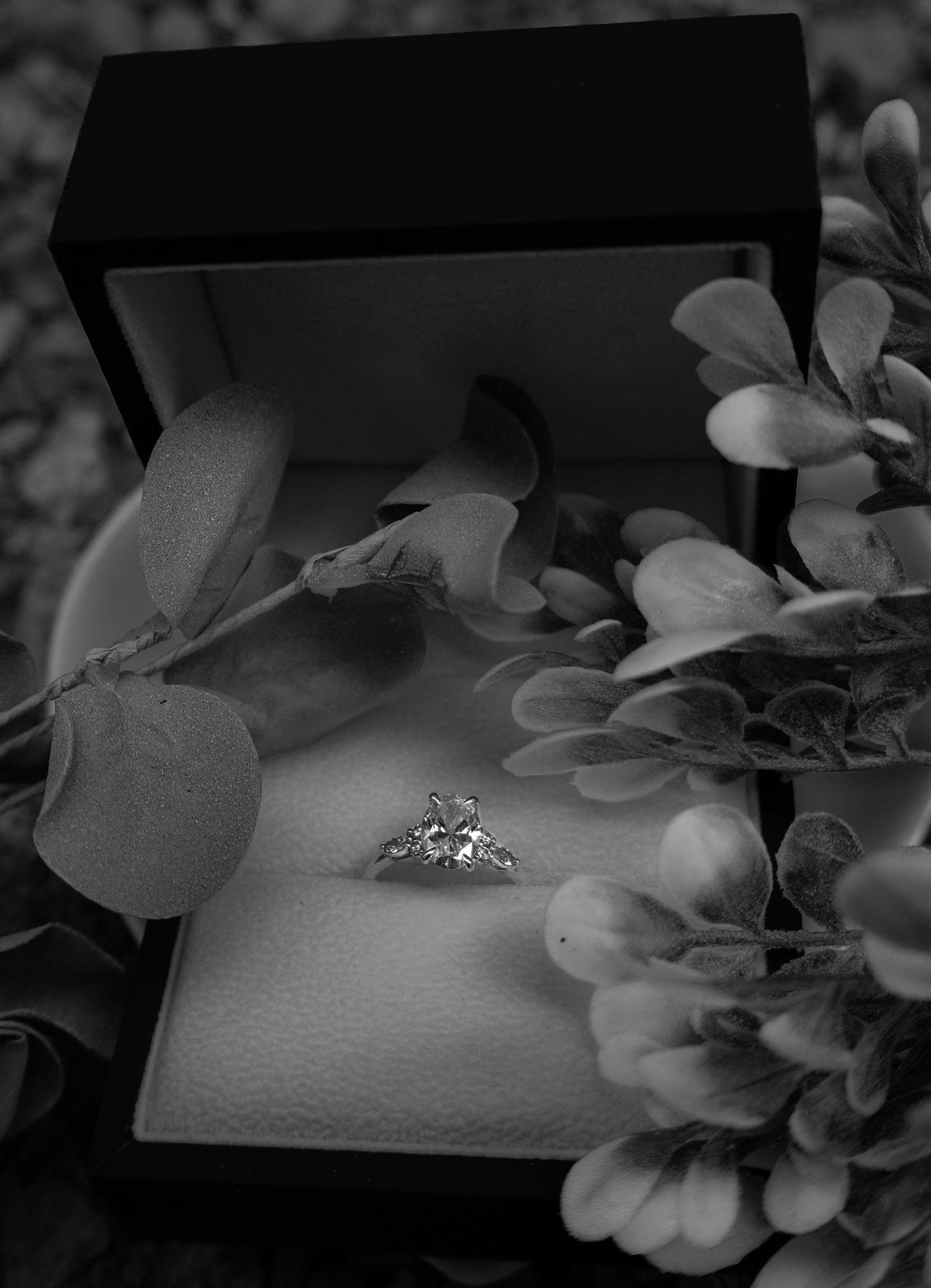 Black and white close-up of diamond engagement ring in jewelry box surrounded by flowers.