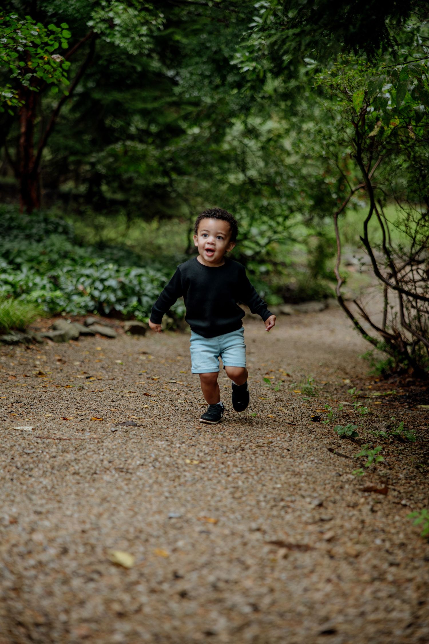A joyful toddler in a black shirt and denim shorts runs along a garden path surrounded by lush green trees.