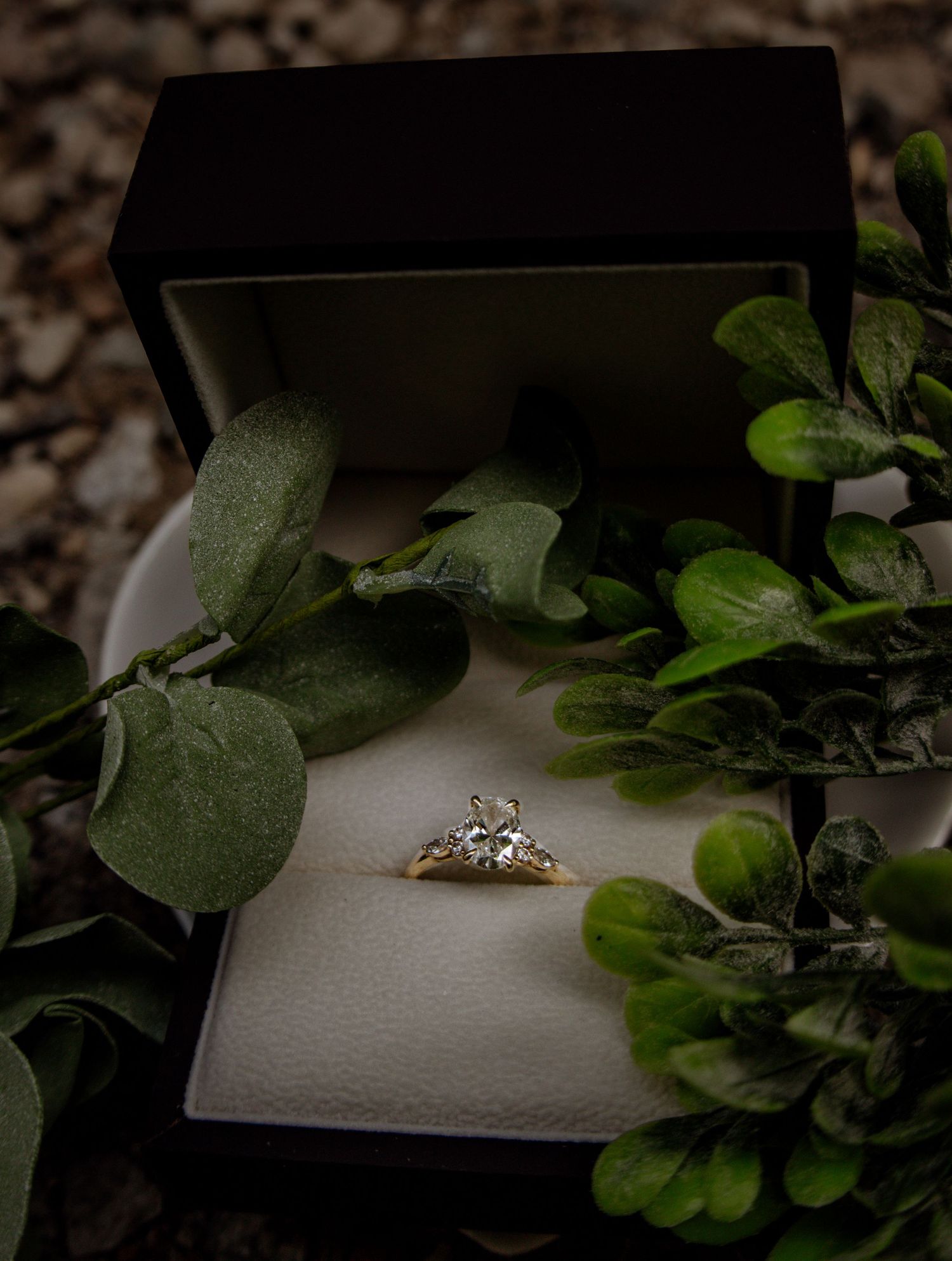 Diamond engagement ring in gold setting displayed in black jewelry box surrounded by green leaves.