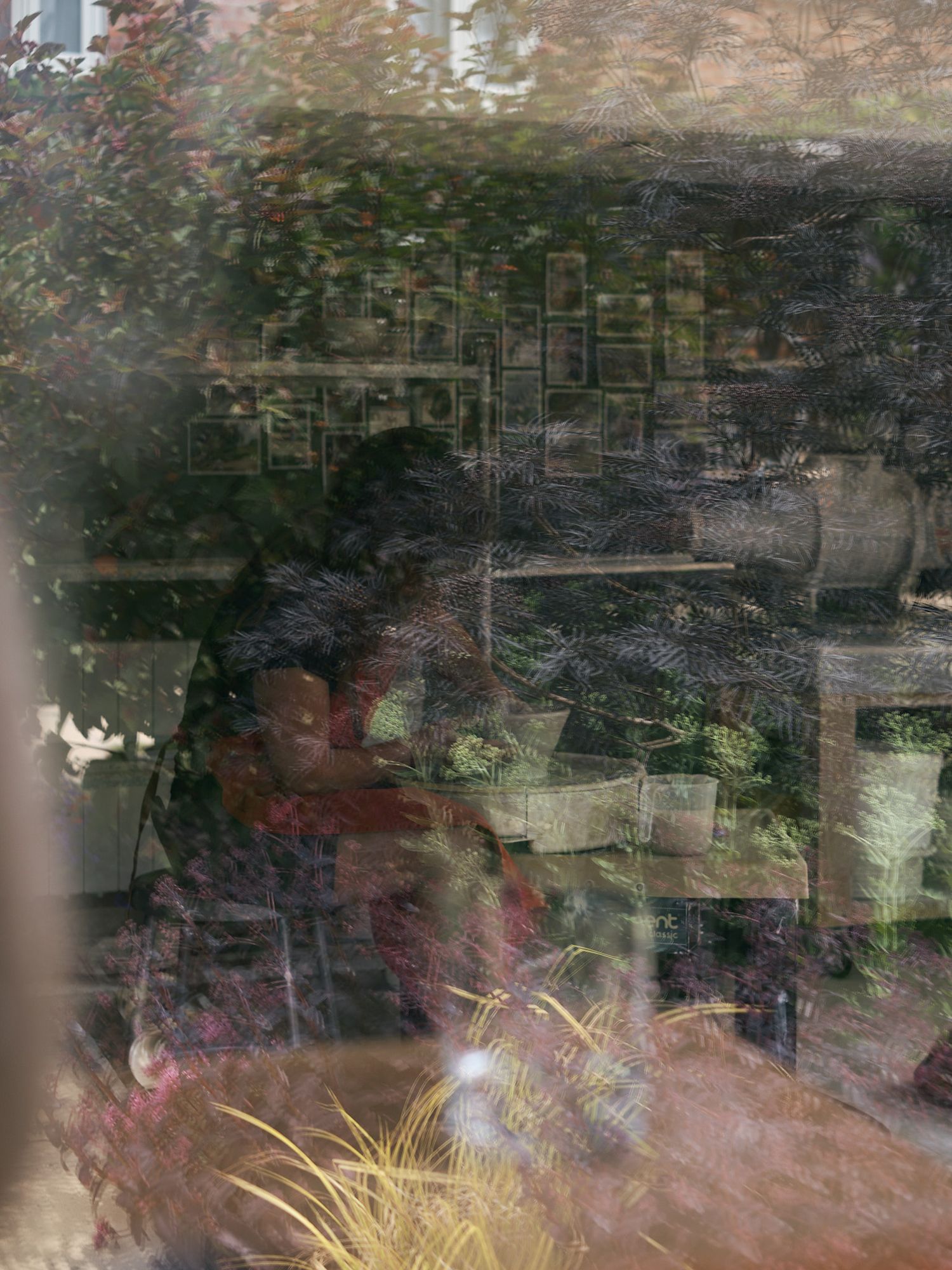 Blurry reflection of a person surrounded by lush green plants through a window.