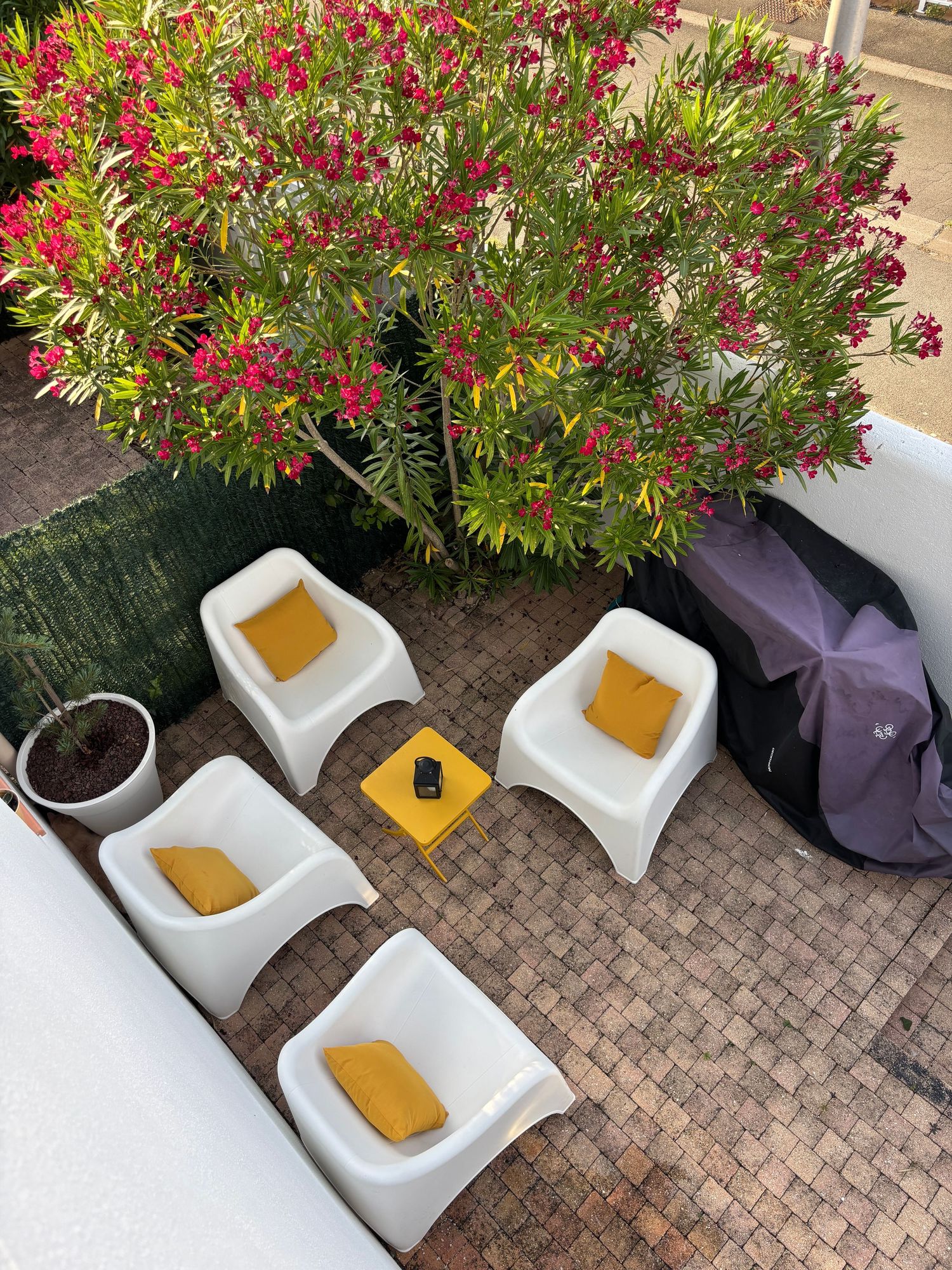Aerial view of white outdoor chairs with yellow cushions around a small table near flowering shrubs.